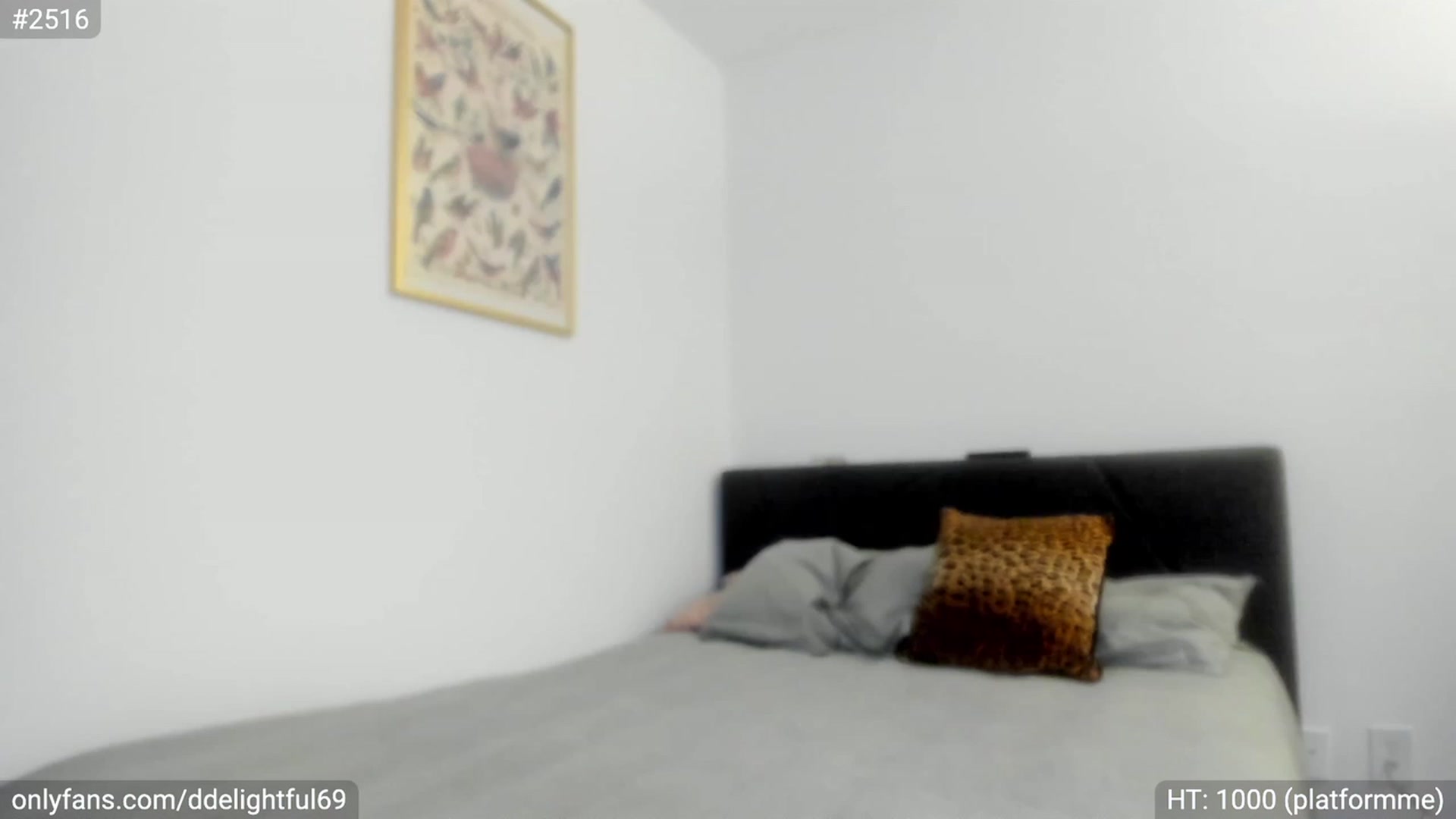 Gallery image thumbnail from DDelightful69's myfreecams stream on, 11/30/2023, 23:02 image 3 of 20