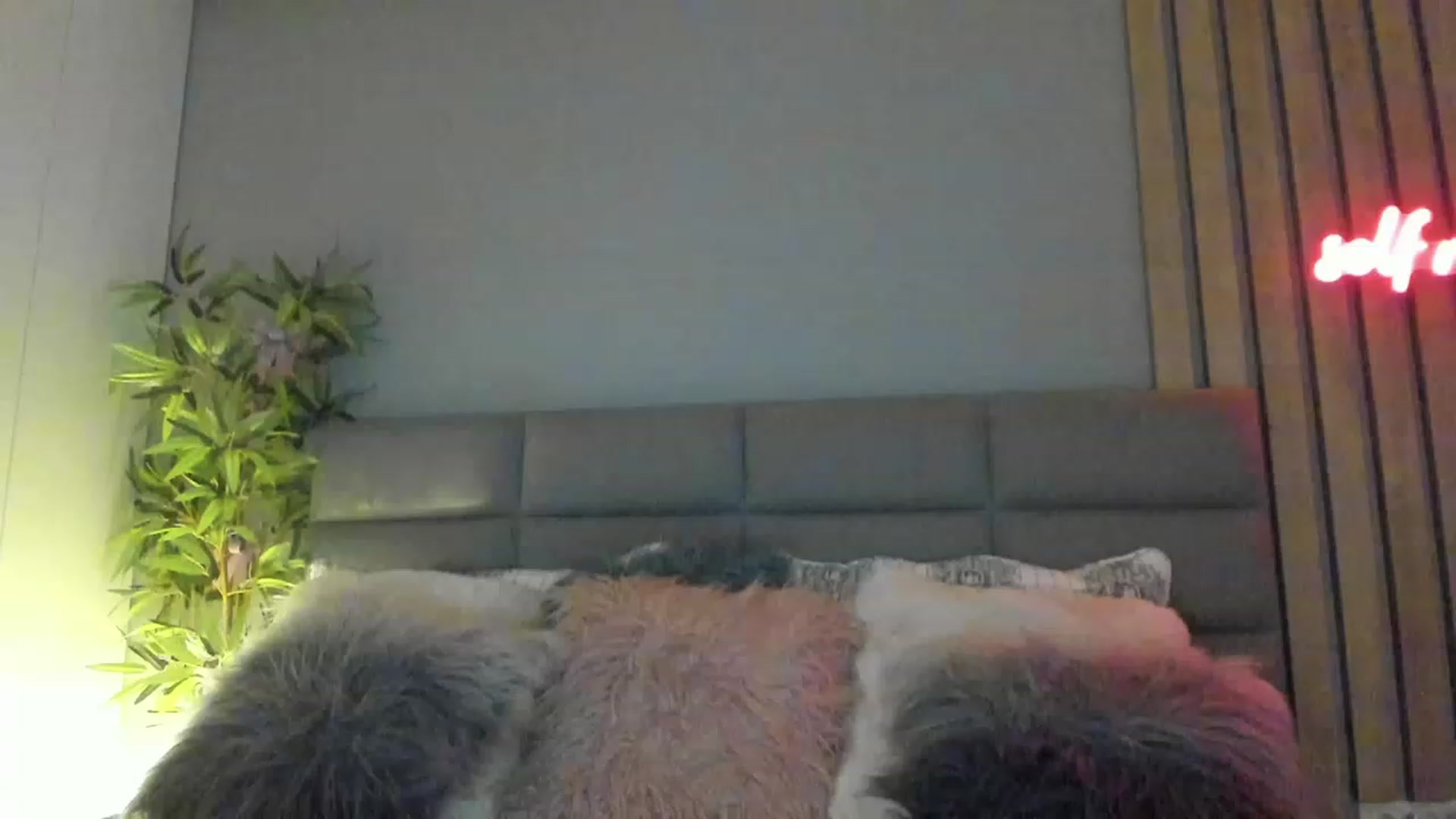 Gallery image thumbnail from DENNYVERSE's myfreecams stream on, 11/18/2022, 11:19 image 17 of 20