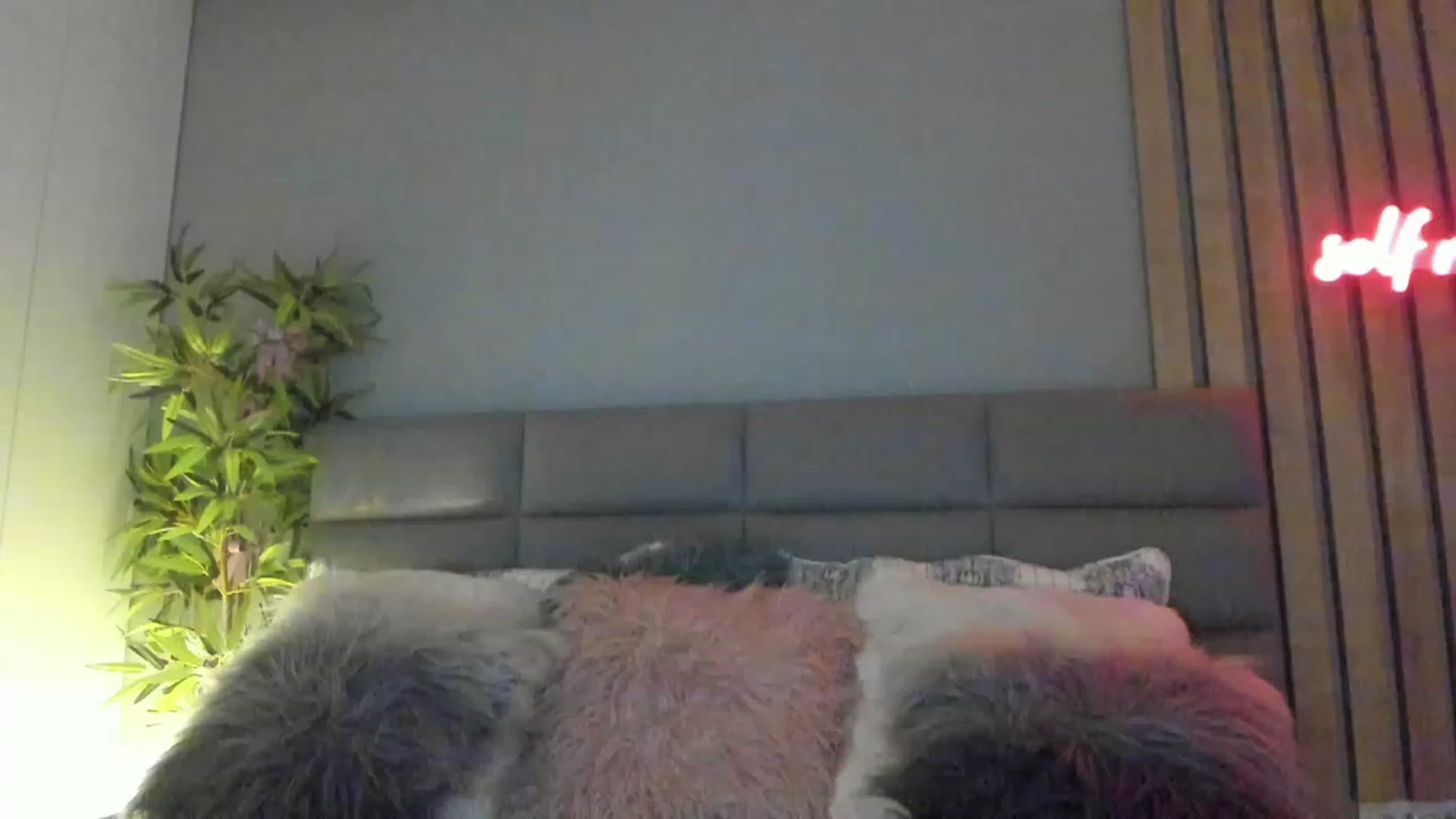 Gallery image thumbnail from DENNYVERSE's myfreecams stream on, 11/18/2022, 11:19 image 16 of 20