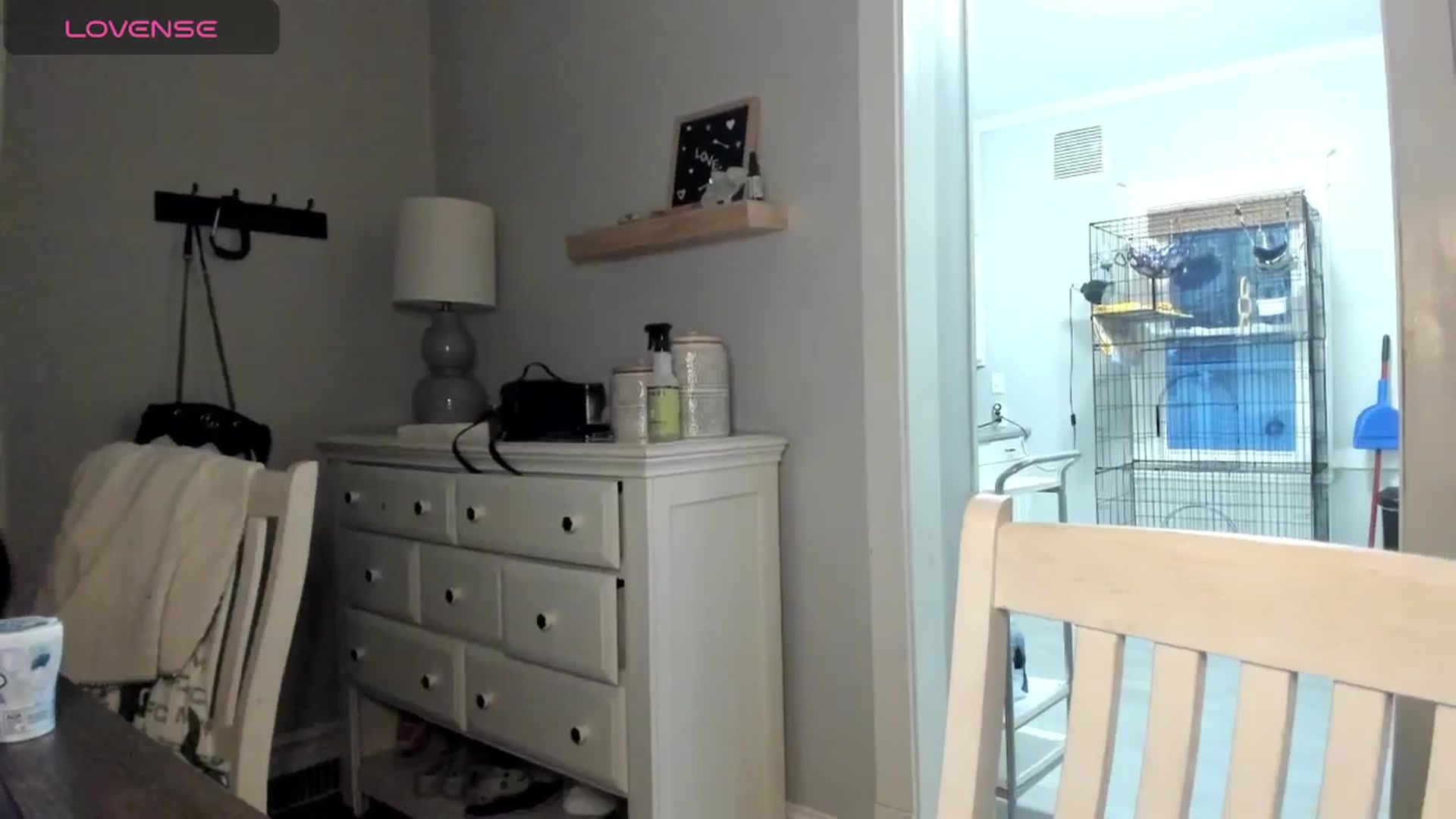 Gallery image thumbnail from DJ_ZYA's myfreecams stream on, 05/24/2025, 01:56 image 19 of 20