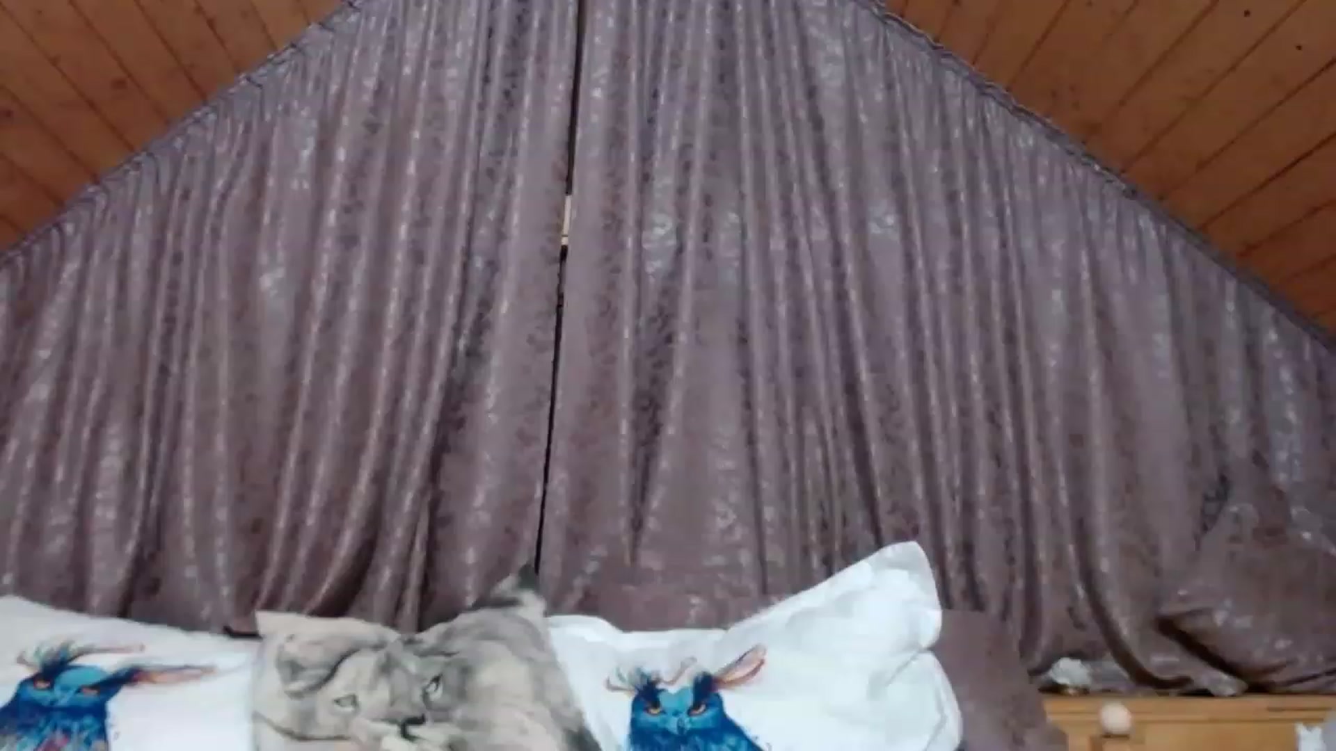 Gallery image thumbnail from DOLL__K's myfreecams stream on, 11/22/2022, 02:33 image 7 of 20