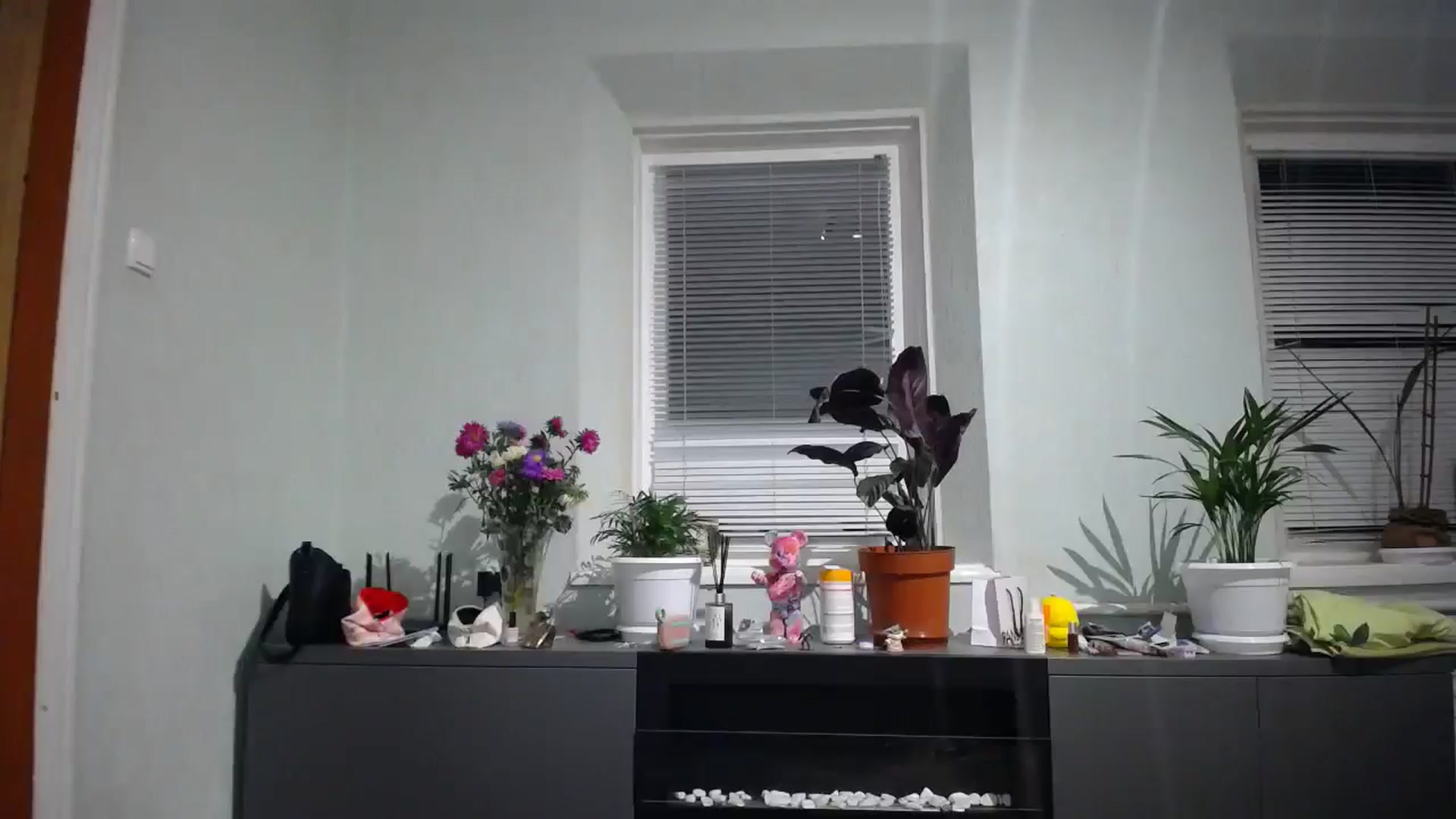 Gallery image thumbnail from DaddyWFantast's myfreecams stream on, 08/25/2024, 19:12 image 9 of 20