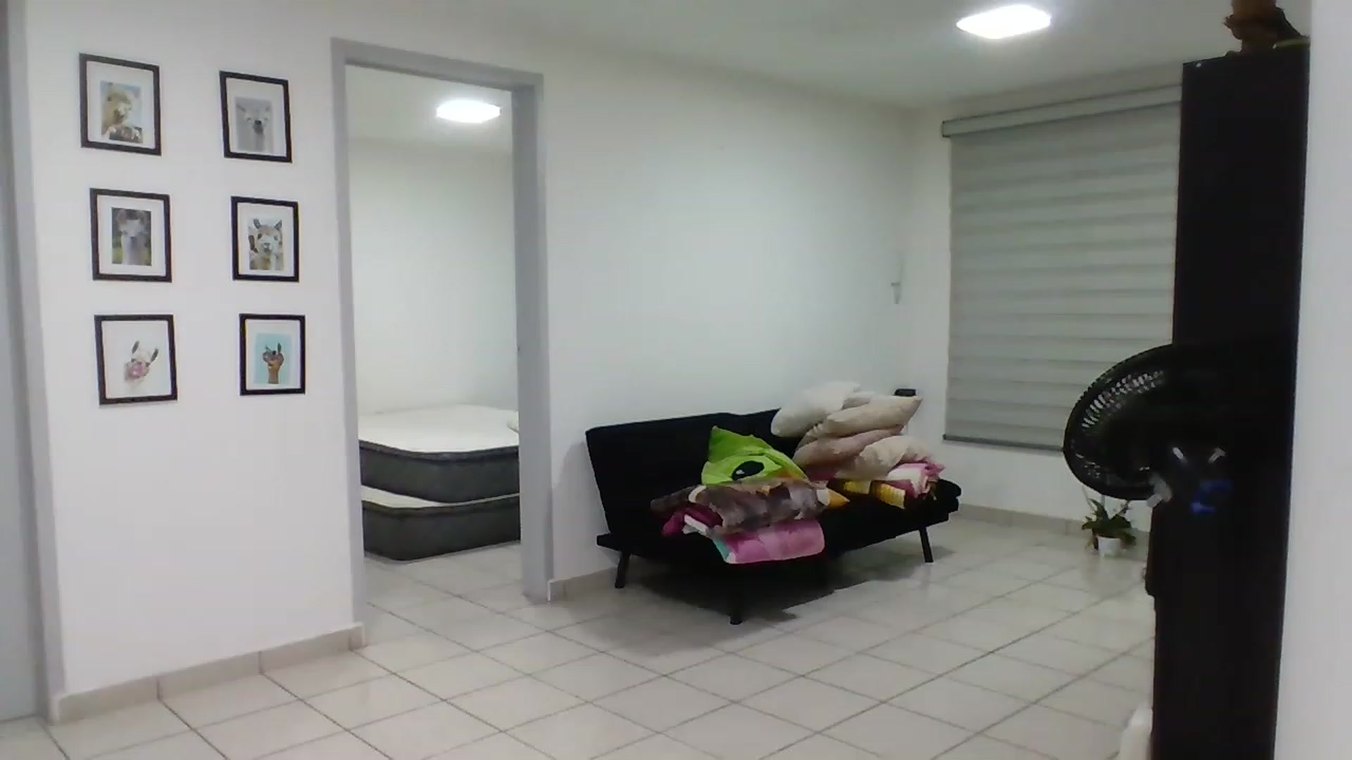 Gallery image thumbnail from DafneMFC's myfreecams stream on, 11/28/2022, 05:39 image 8 of 20