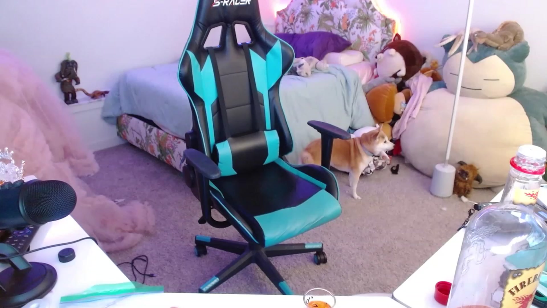 Gallery image thumbnail from DahliaIsDopey's myfreecams stream on, 12/11/2022, 03:52 image 8 of 20