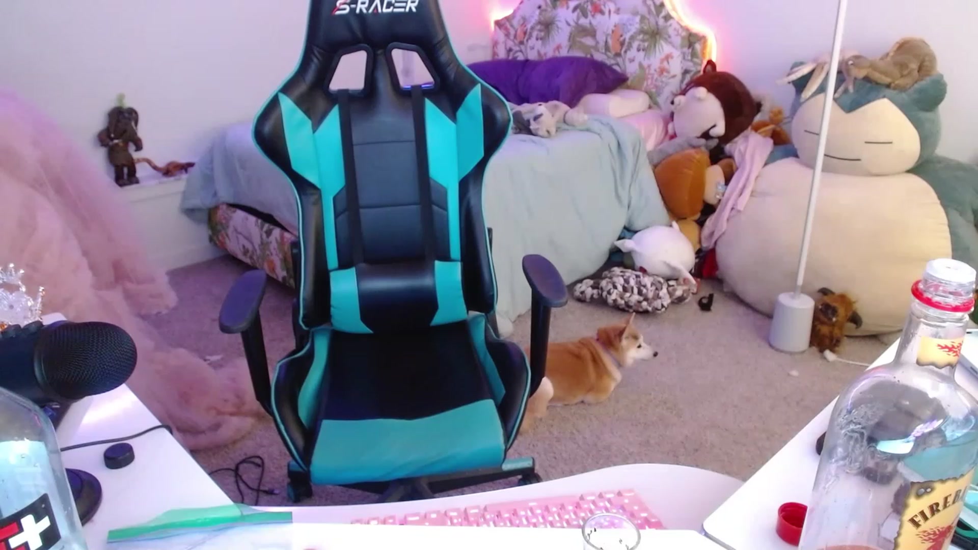Gallery image thumbnail from DahliaIsDopey's myfreecams stream on, 12/11/2022, 03:52 image 11 of 20