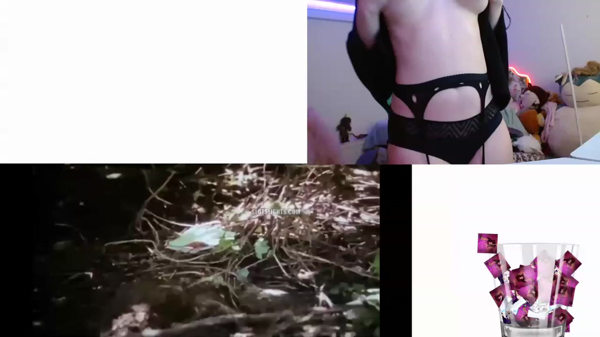 Gallery image thumbnail from DahliaIsDopey's myfreecams stream on, 12/11/2022, 05:48 image 12 of 20