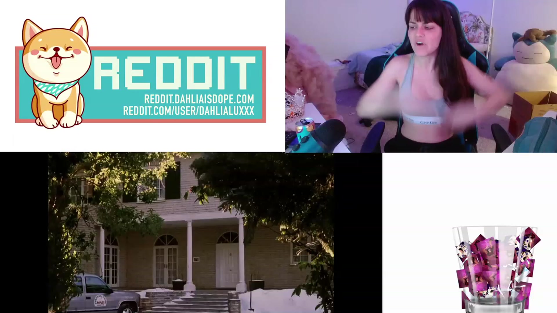 Gallery image thumbnail from DahliaIsDopey's myfreecams stream on, 01/17/2023, 05:45 image 6 of 20