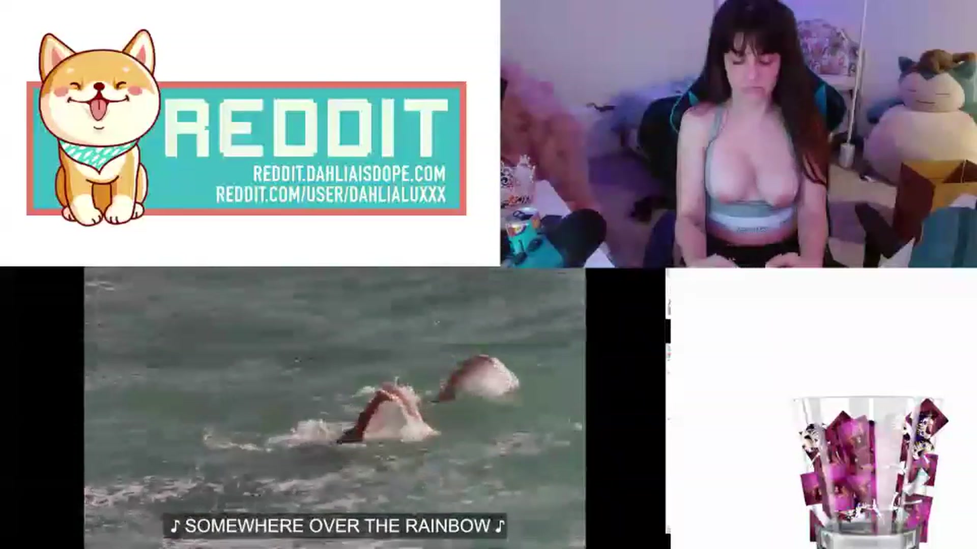 Gallery image thumbnail from DahliaIsDopey's myfreecams stream on, 01/17/2023, 05:45 image 19 of 20
