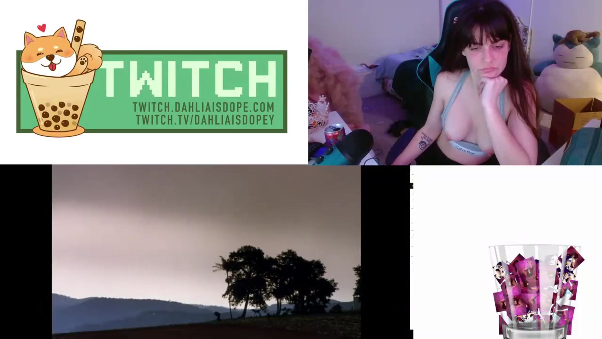 Gallery image thumbnail from DahliaIsDopey's myfreecams stream on, 01/17/2023, 06:24 image 10 of 20
