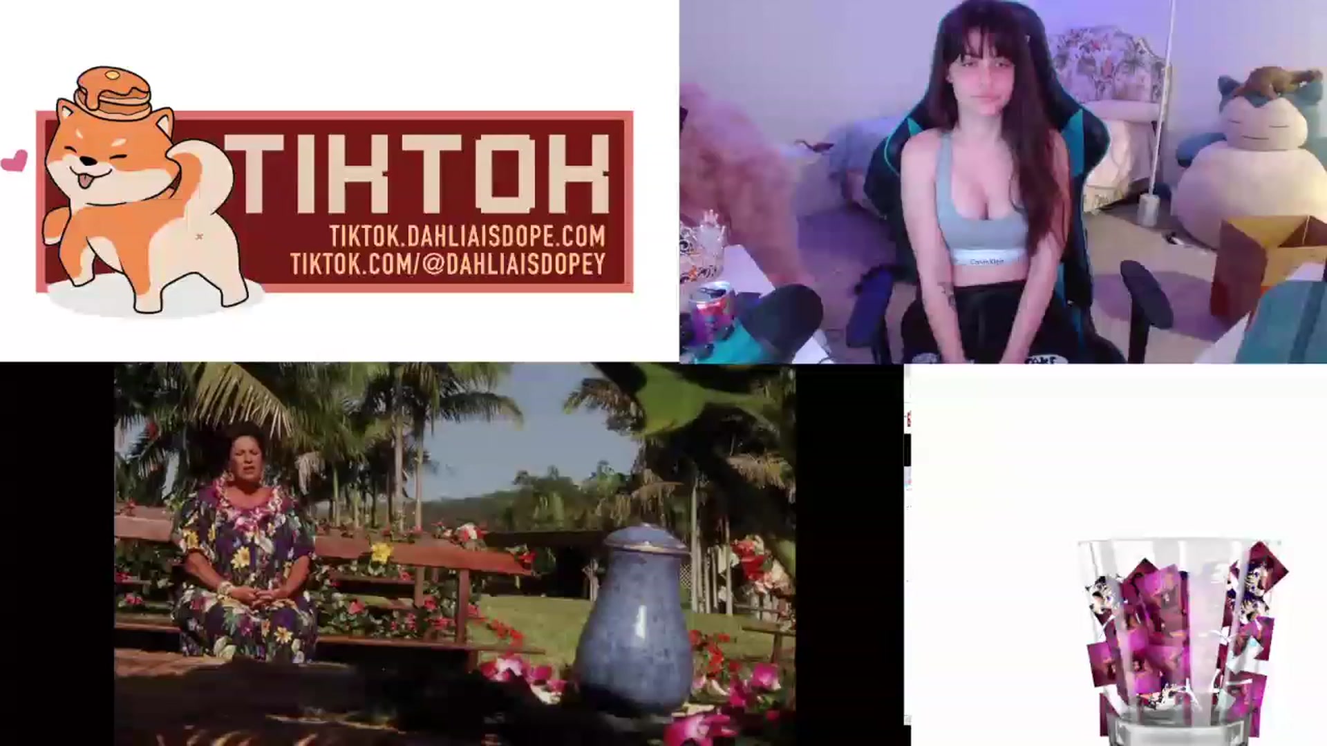 Gallery image thumbnail from DahliaIsDopey's myfreecams stream on, 01/17/2023, 06:24 image 17 of 20