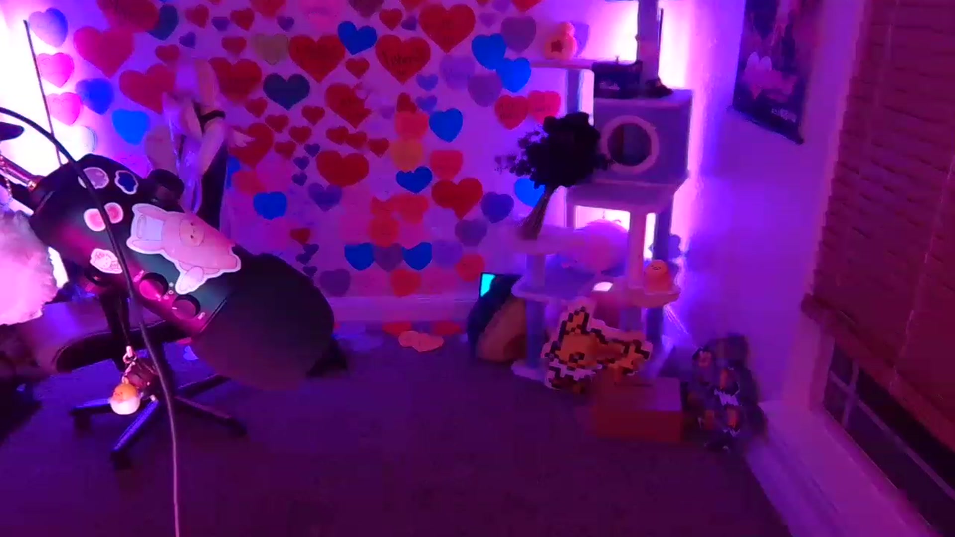 Gallery image thumbnail from DahliaIsDopey's myfreecams stream on, 03/04/2023, 04:04 image 15 of 20
