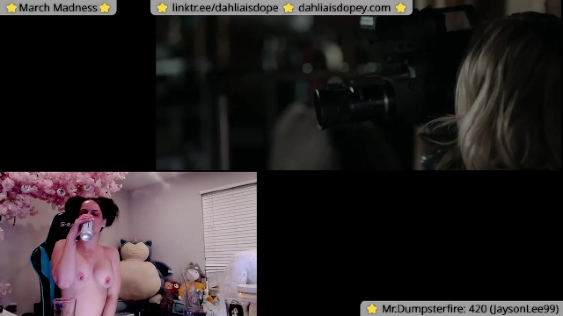 Gallery image thumbnail from DahliaIsDopey's myfreecams stream on, 03/21/2023, 05:22 image 10 of 20