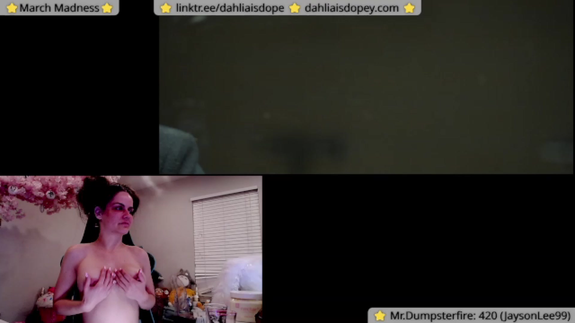Gallery image thumbnail from DahliaIsDopey's myfreecams stream on, 03/21/2023, 05:22 image 5 of 20