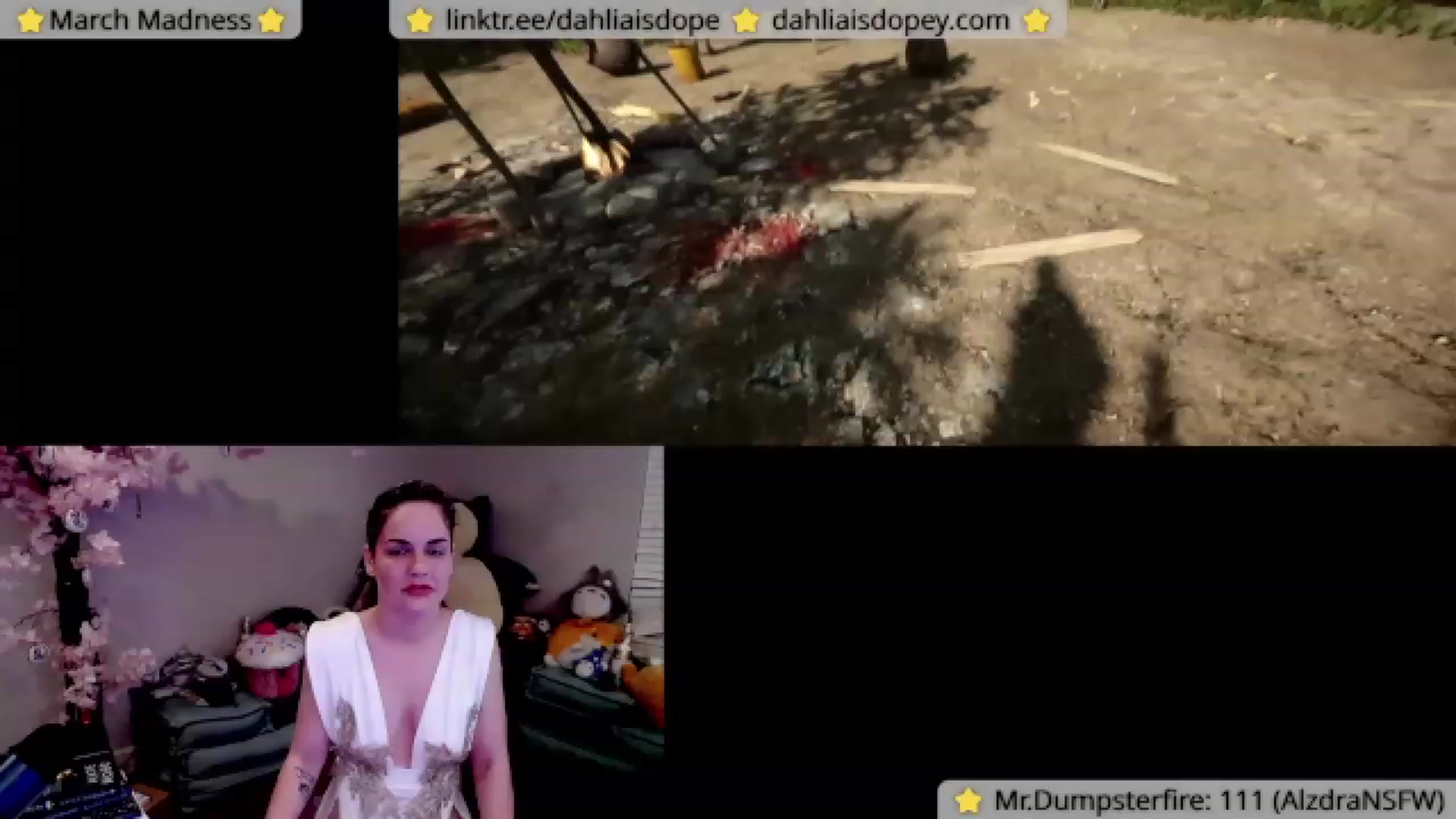 Gallery image thumbnail from DahliaIsDopey's myfreecams stream on, 03/25/2023, 04:54 image 1 of 20