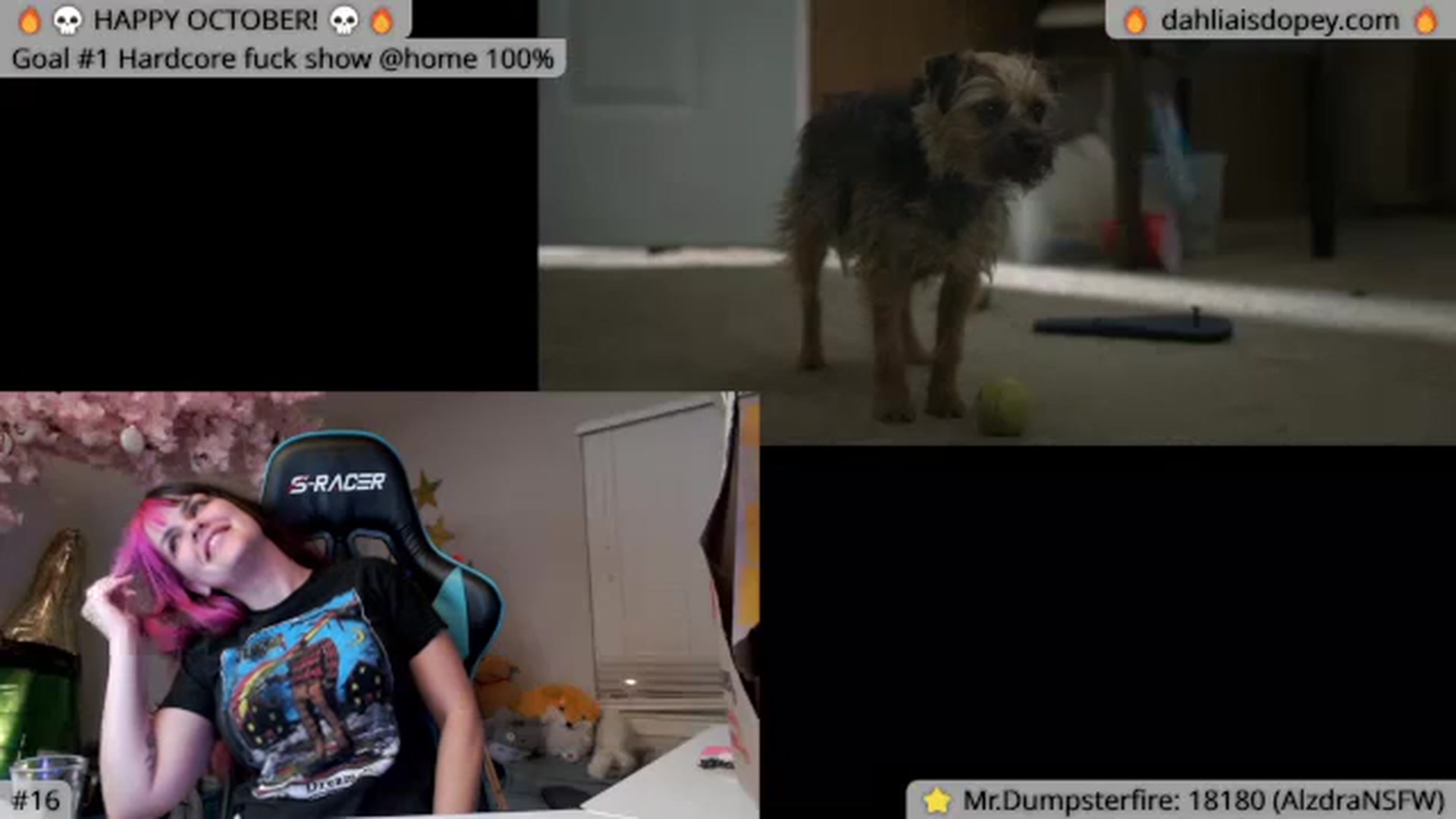 Gallery image thumbnail from DahliaIsDopey's myfreecams stream on, 10/17/2023, 05:37 image 15 of 20