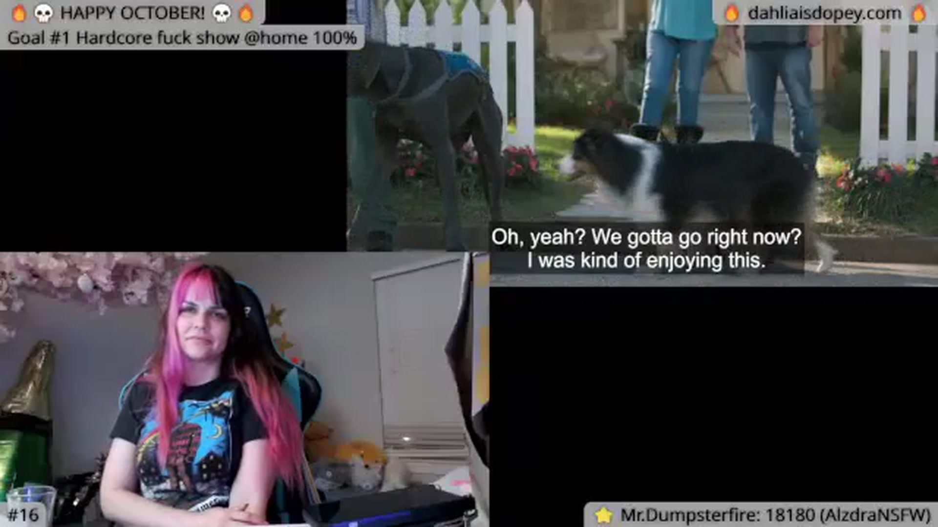 Gallery image thumbnail from DahliaIsDopey's myfreecams stream on, 10/17/2023, 05:37 image 17 of 20
