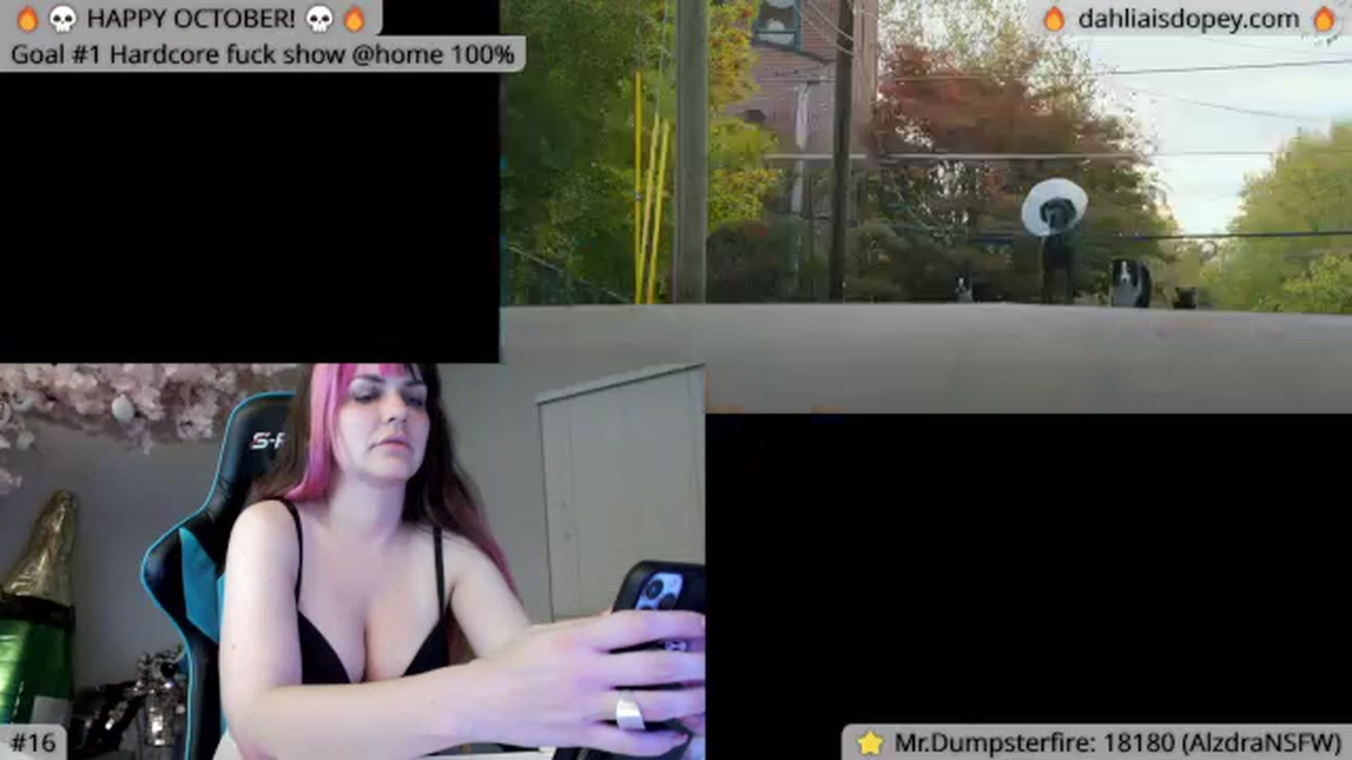 Gallery image thumbnail from DahliaIsDopey's myfreecams stream on, 10/17/2023, 05:37 image 3 of 20