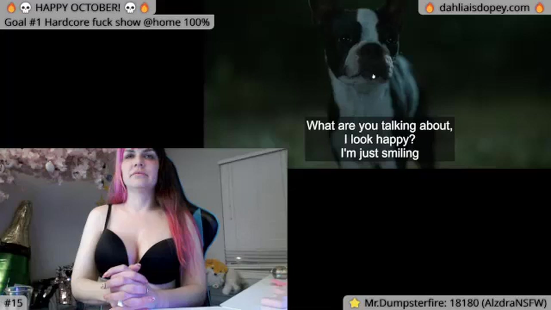 Gallery image thumbnail from DahliaIsDopey's myfreecams stream on, 10/17/2023, 05:37 image 6 of 20