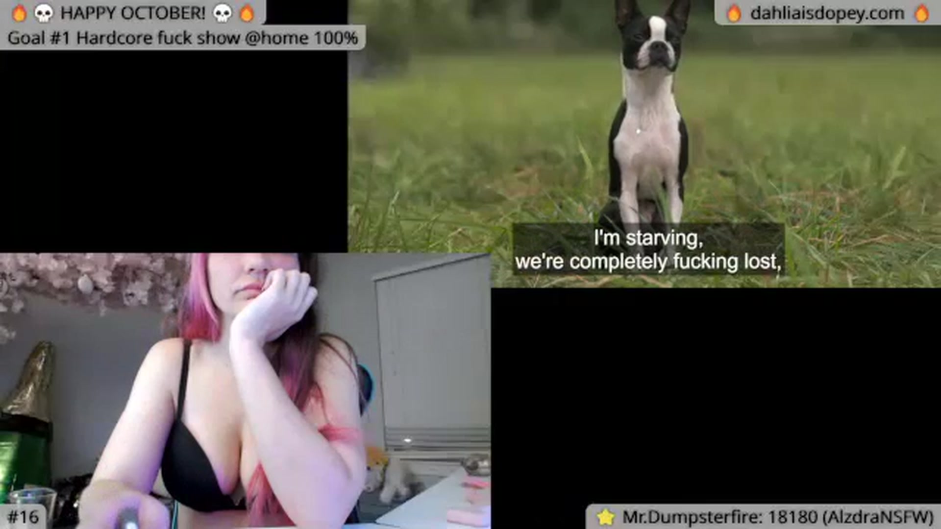 Gallery image thumbnail from DahliaIsDopey's myfreecams stream on, 10/17/2023, 05:37 image 7 of 20