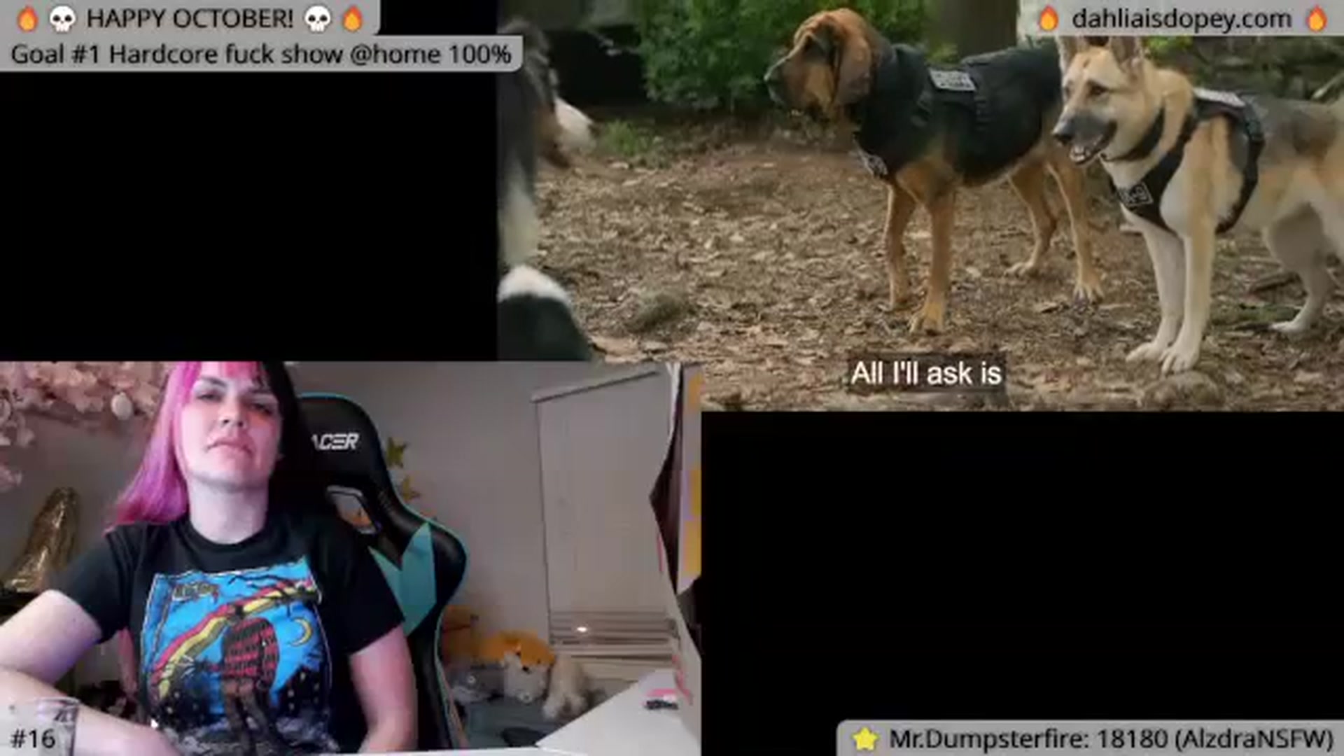 Gallery image thumbnail from DahliaIsDopey's myfreecams stream on, 10/17/2023, 05:37 image 14 of 20