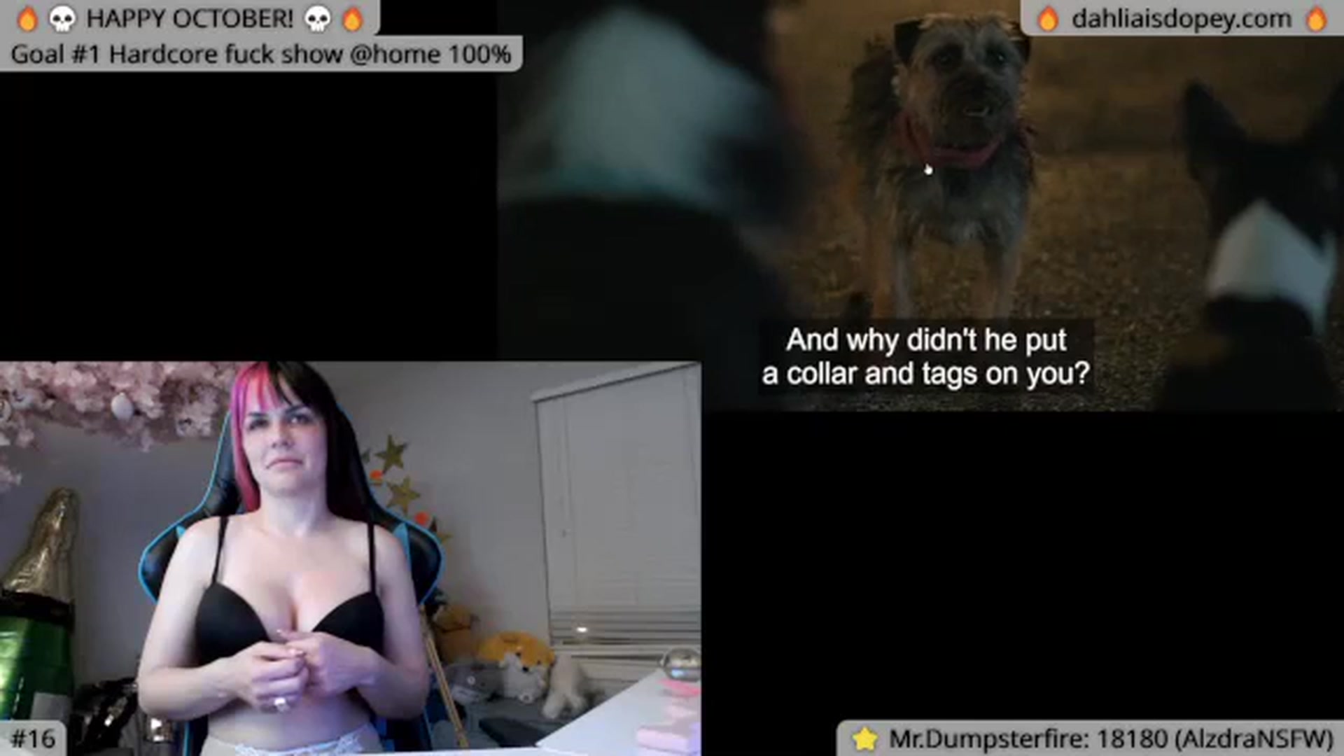 Gallery image thumbnail from DahliaIsDopey's myfreecams stream on, 10/17/2023, 05:37 image 2 of 20