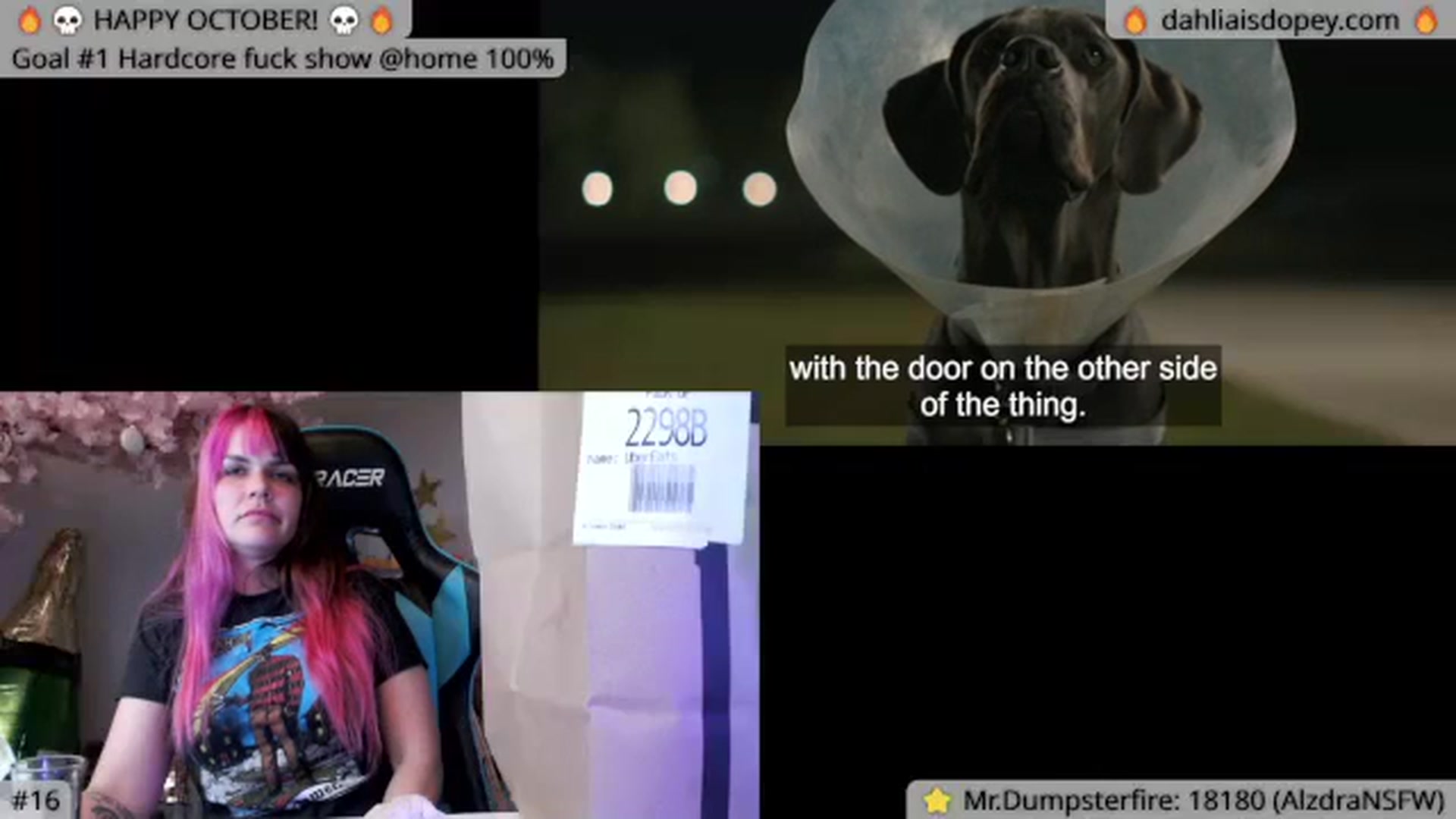 Gallery image thumbnail from DahliaIsDopey's myfreecams stream on, 10/17/2023, 05:37 image 12 of 20