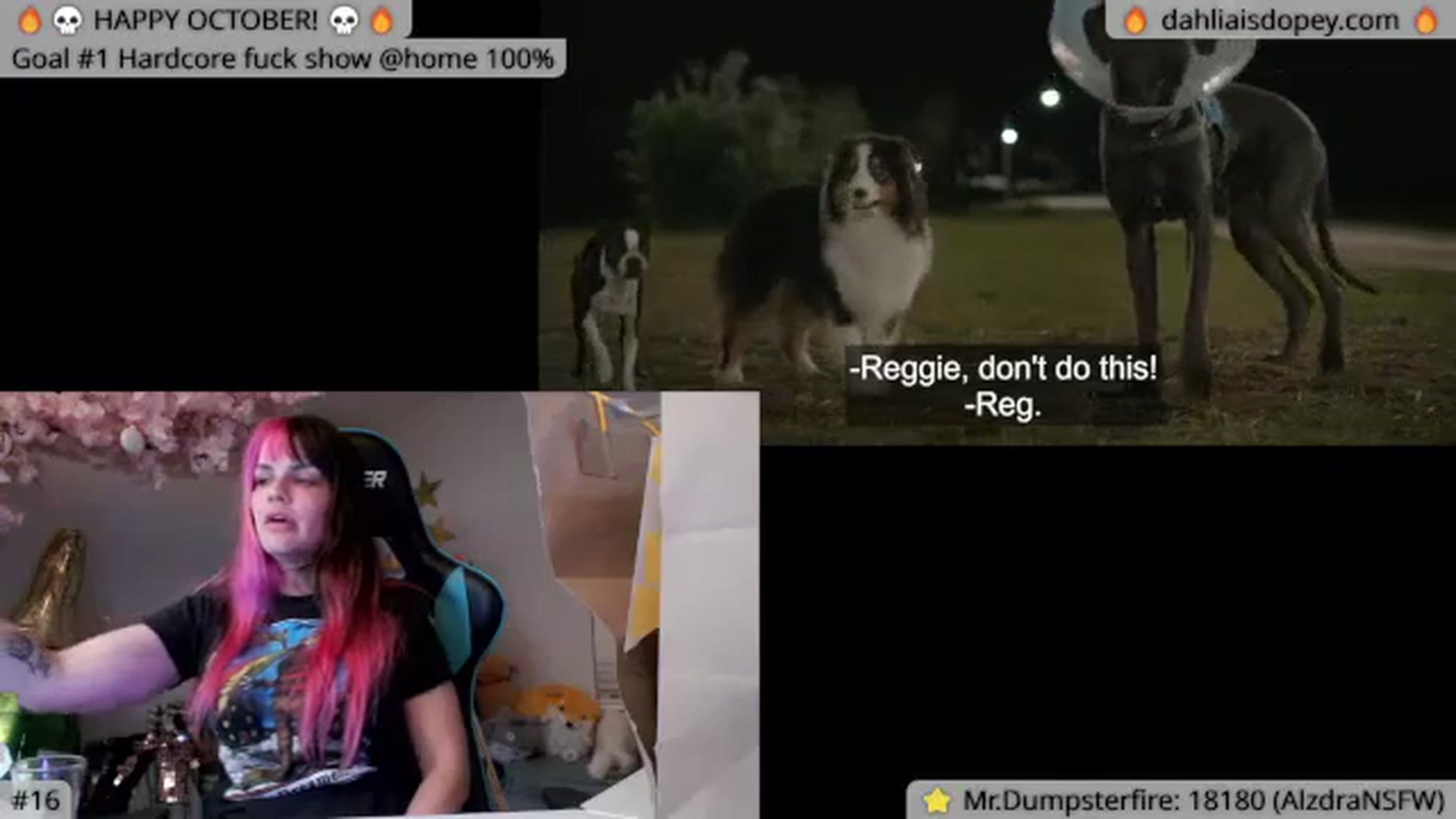 Gallery image thumbnail from DahliaIsDopey's myfreecams stream on, 10/17/2023, 05:37 image 13 of 20