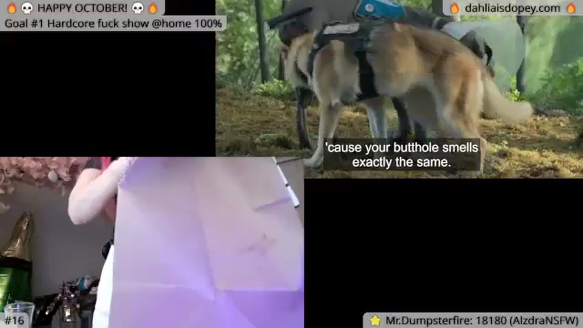 Gallery image thumbnail from DahliaIsDopey's myfreecams stream on, 10/17/2023, 05:37 image 10 of 20