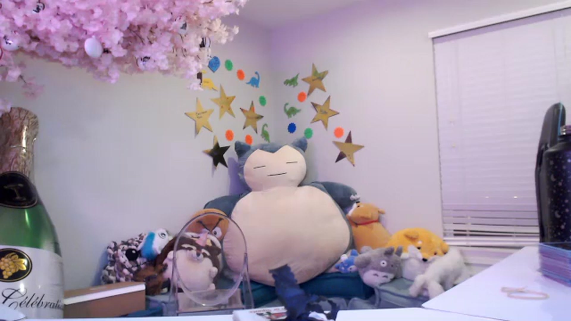 Gallery image thumbnail from DahliaIsDopey's myfreecams stream on, 10/27/2023, 04:42 image 12 of 20