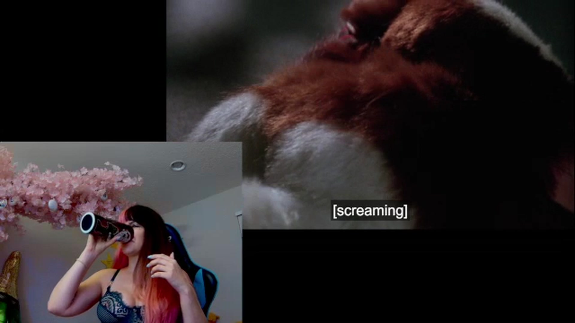 Gallery image thumbnail from DahliaIsDopey's myfreecams stream on, 12/27/2023, 04:49 image 2 of 20