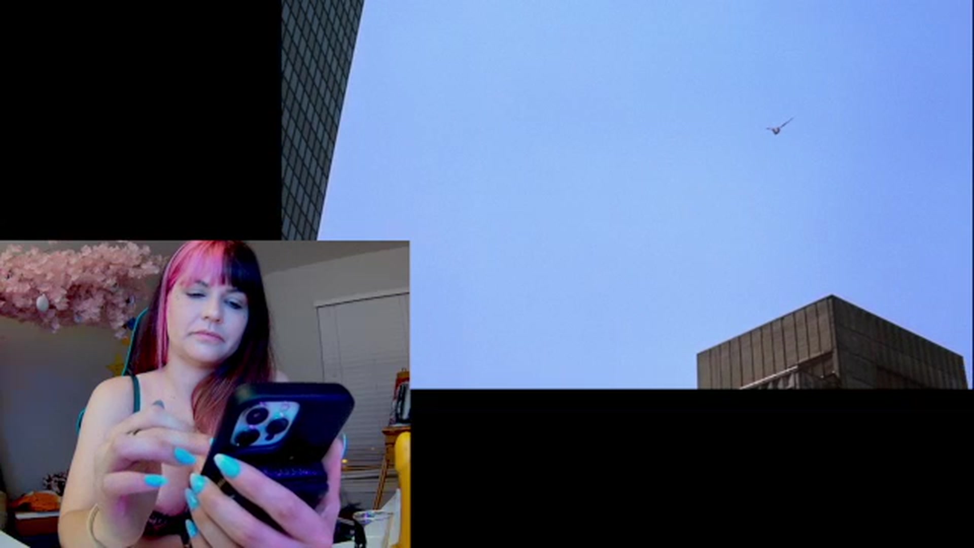Gallery image thumbnail from DahliaIsDopey's myfreecams stream on, 12/27/2023, 05:07 image 2 of 20