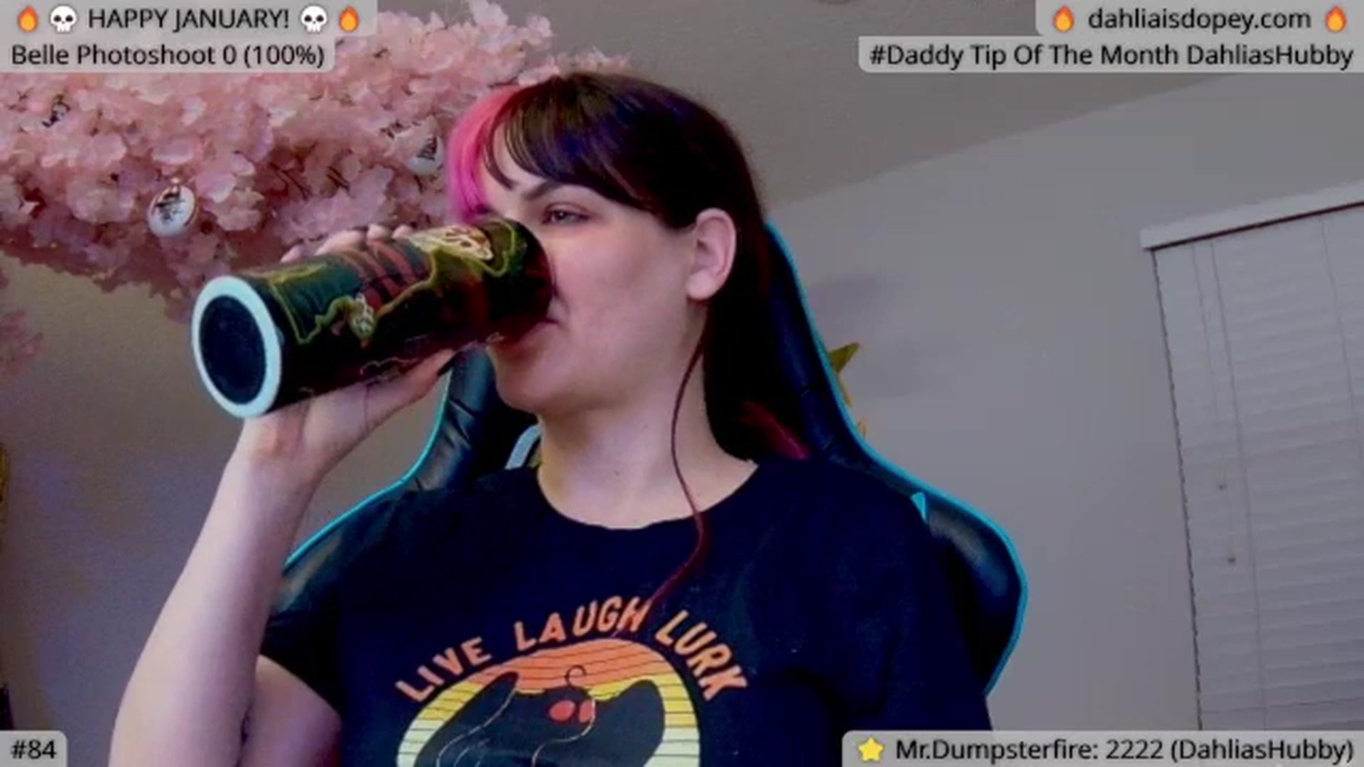 Gallery image thumbnail from DahliaIsDopey's myfreecams stream on, 01/13/2024, 04:06 image 17 of 20