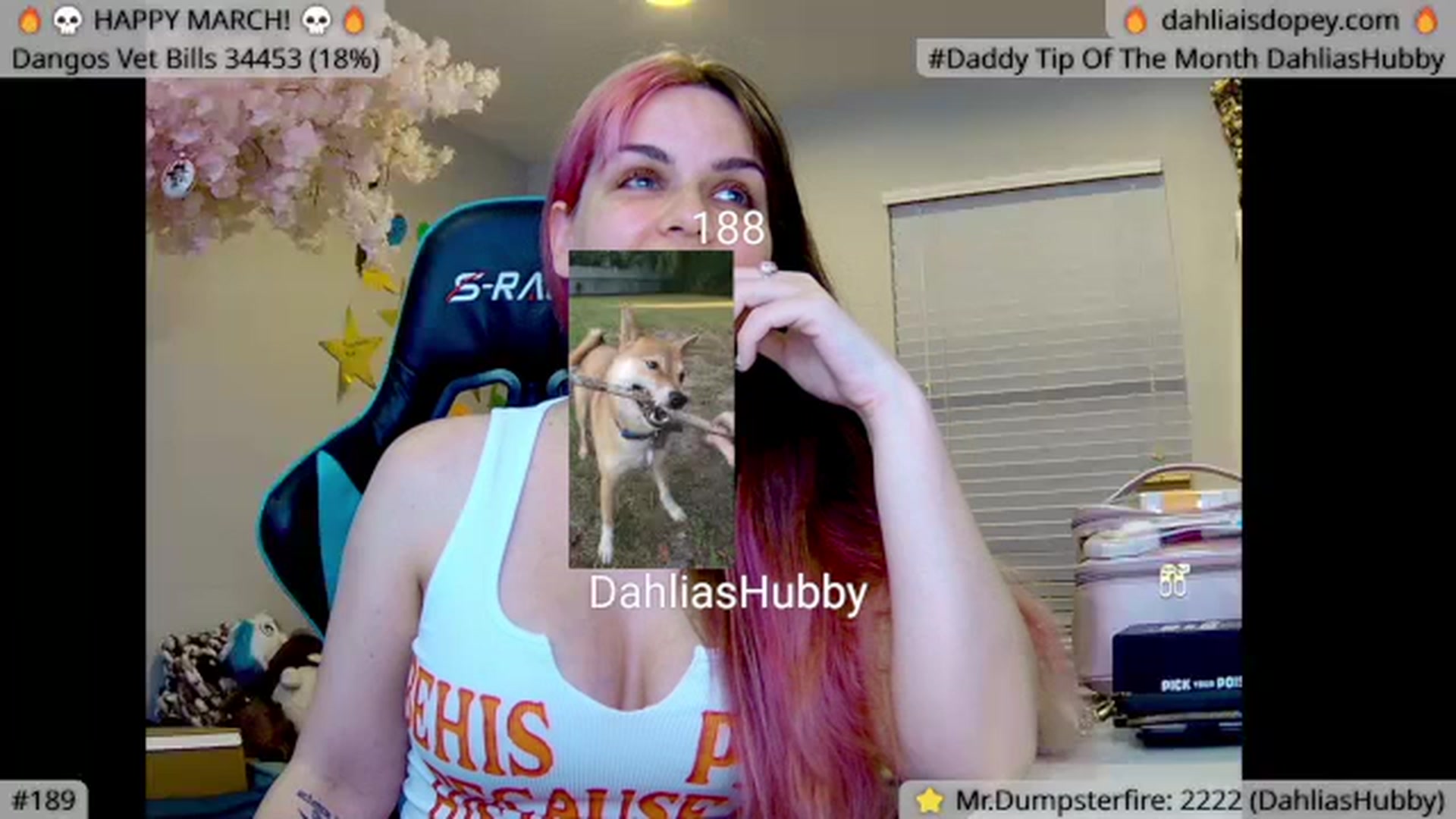 Gallery image thumbnail from DahliaIsDopey's myfreecams stream on, 03/26/2024, 02:27 image 13 of 20