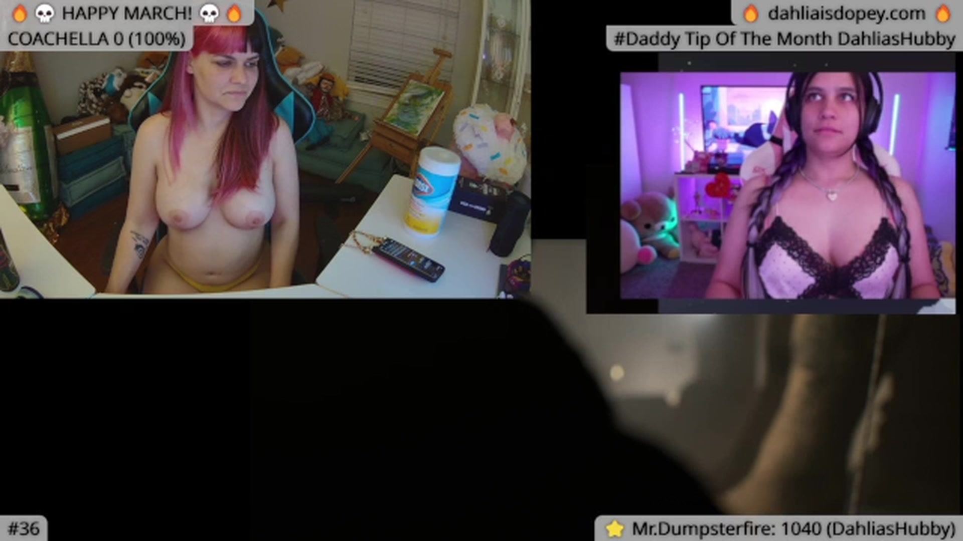 Gallery image thumbnail from DahliaIsDopey's myfreecams stream on, 05/14/2024, 06:19 image 12 of 20