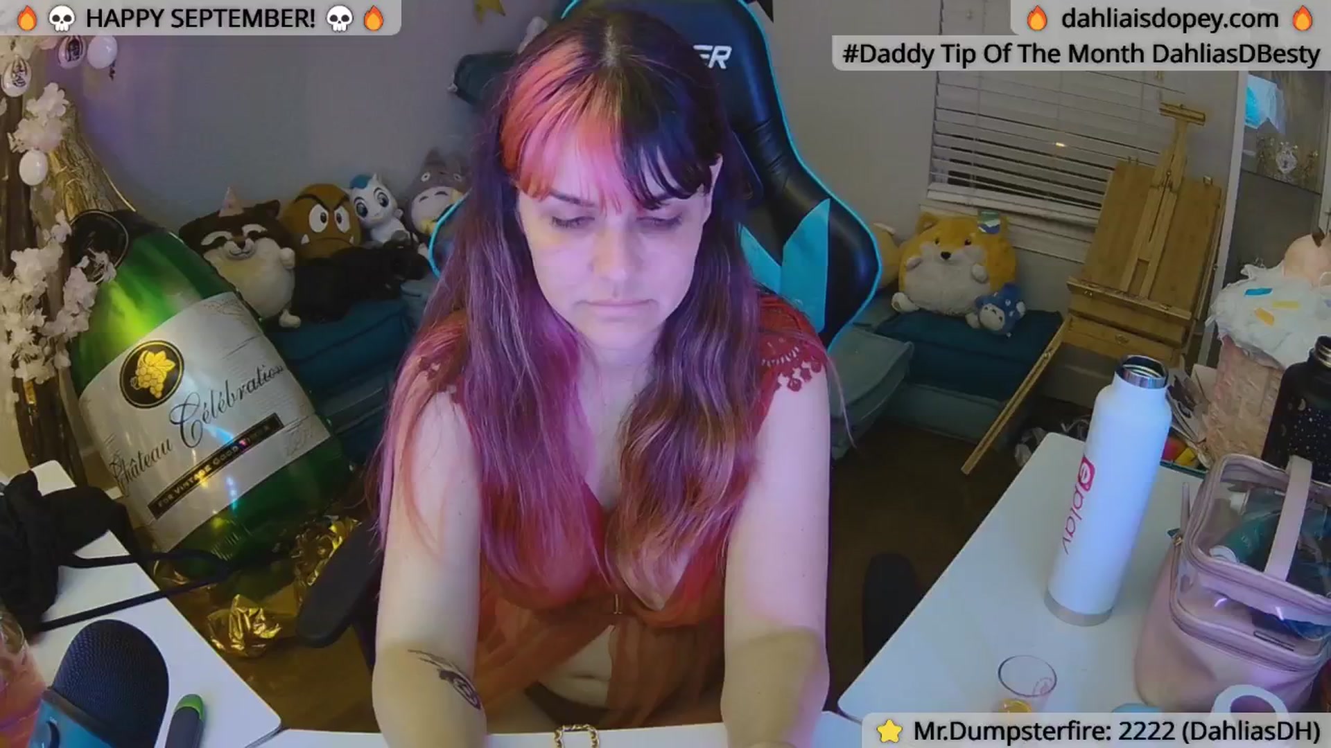 Gallery image thumbnail from DahliaIsDopey's myfreecams stream on, 09/08/2024, 03:08 image 3 of 20