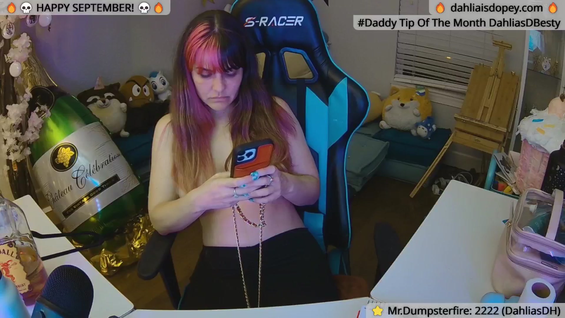 Gallery image thumbnail from DahliaIsDopey's myfreecams stream on, 09/08/2024, 03:08 image 19 of 20