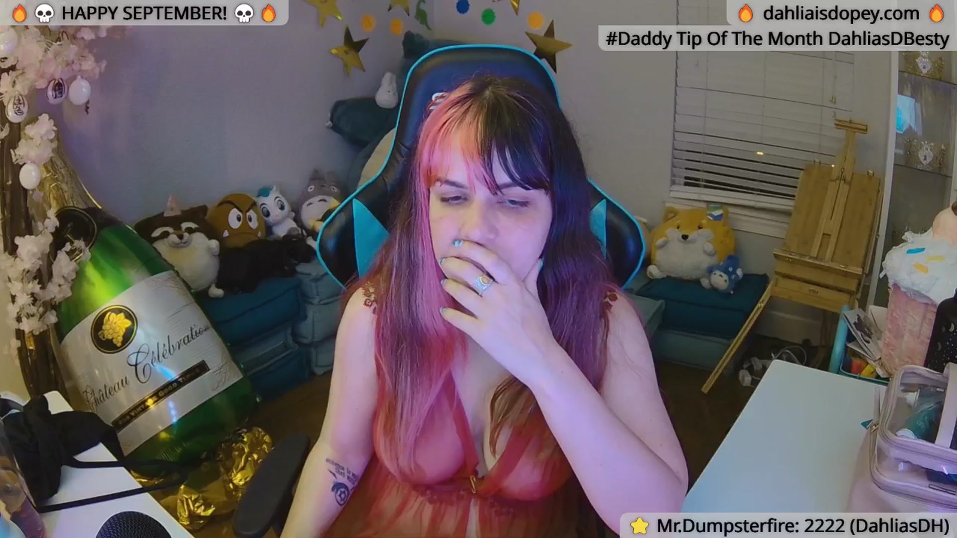 Gallery image thumbnail from DahliaIsDopey's myfreecams stream on, 09/08/2024, 03:08 image 11 of 20