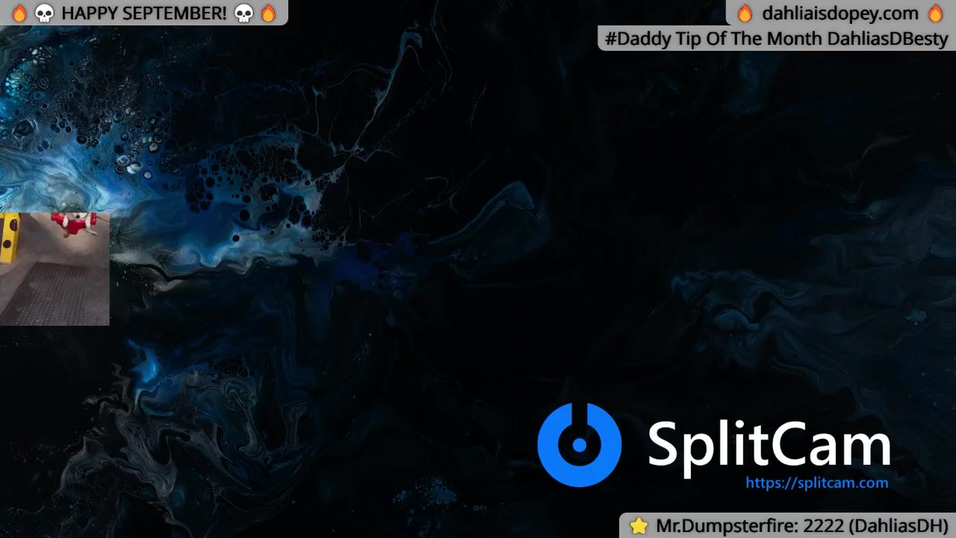 Gallery image thumbnail from DahliaIsDopey's myfreecams stream on, 09/10/2024, 04:09 image 2 of 20