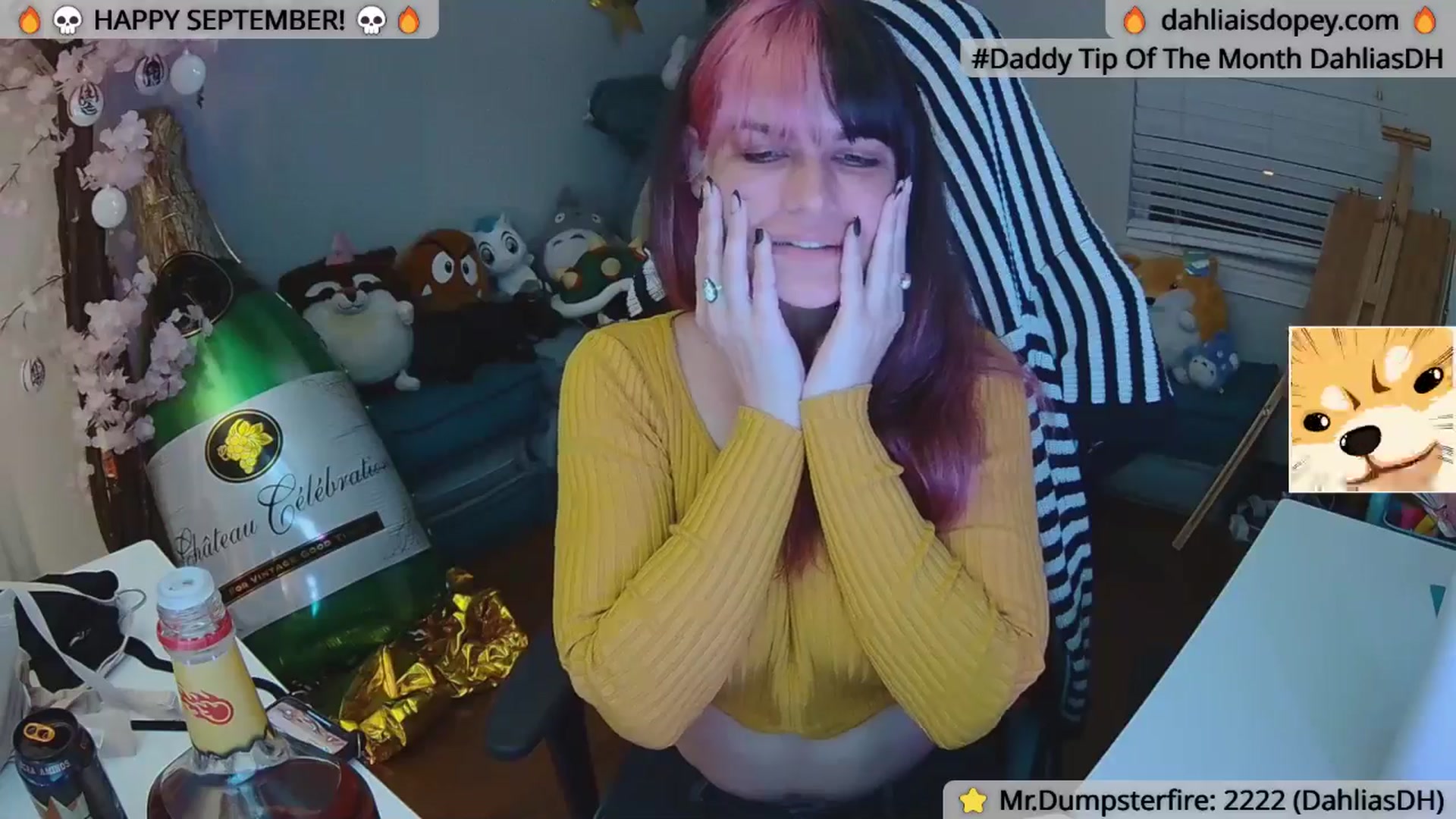 Gallery image thumbnail from DahliaIsDopey's myfreecams stream on, 10/01/2024, 02:09 image 10 of 20