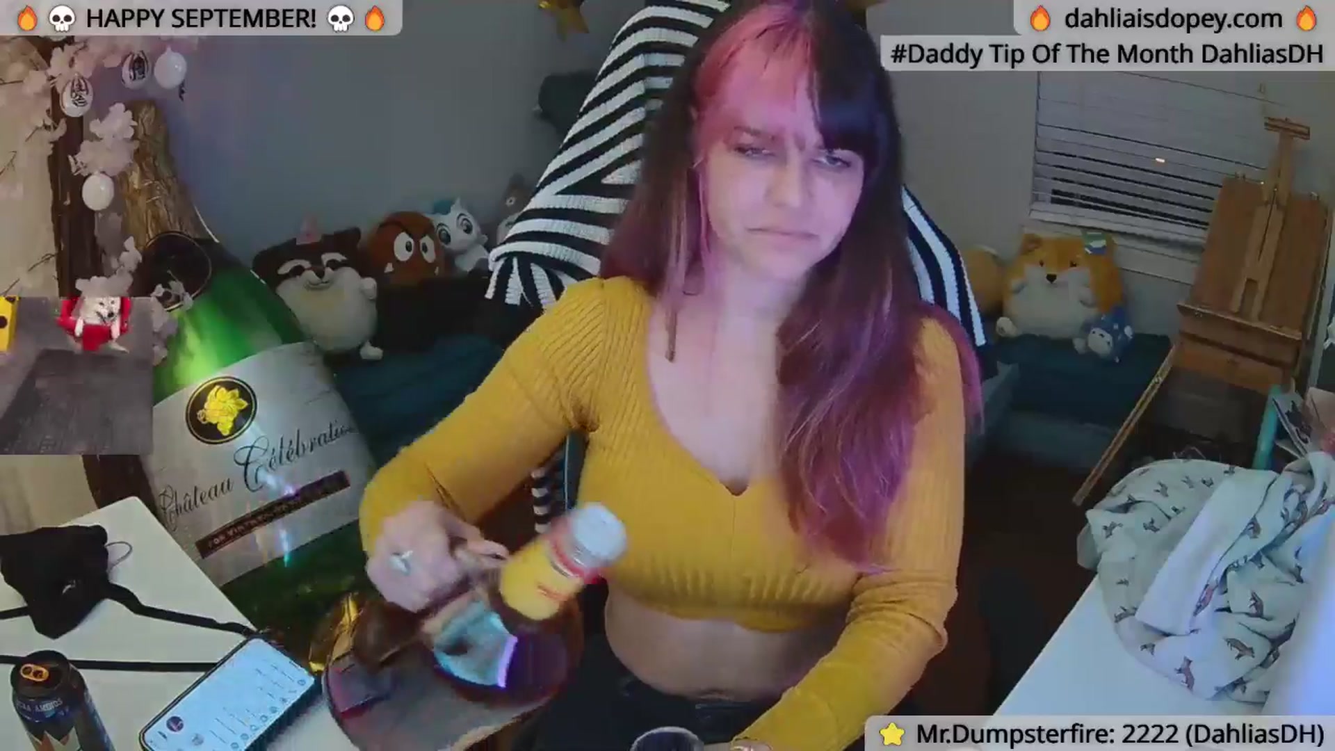 Gallery image thumbnail from DahliaIsDopey's myfreecams stream on, 10/01/2024, 02:09 image 4 of 20