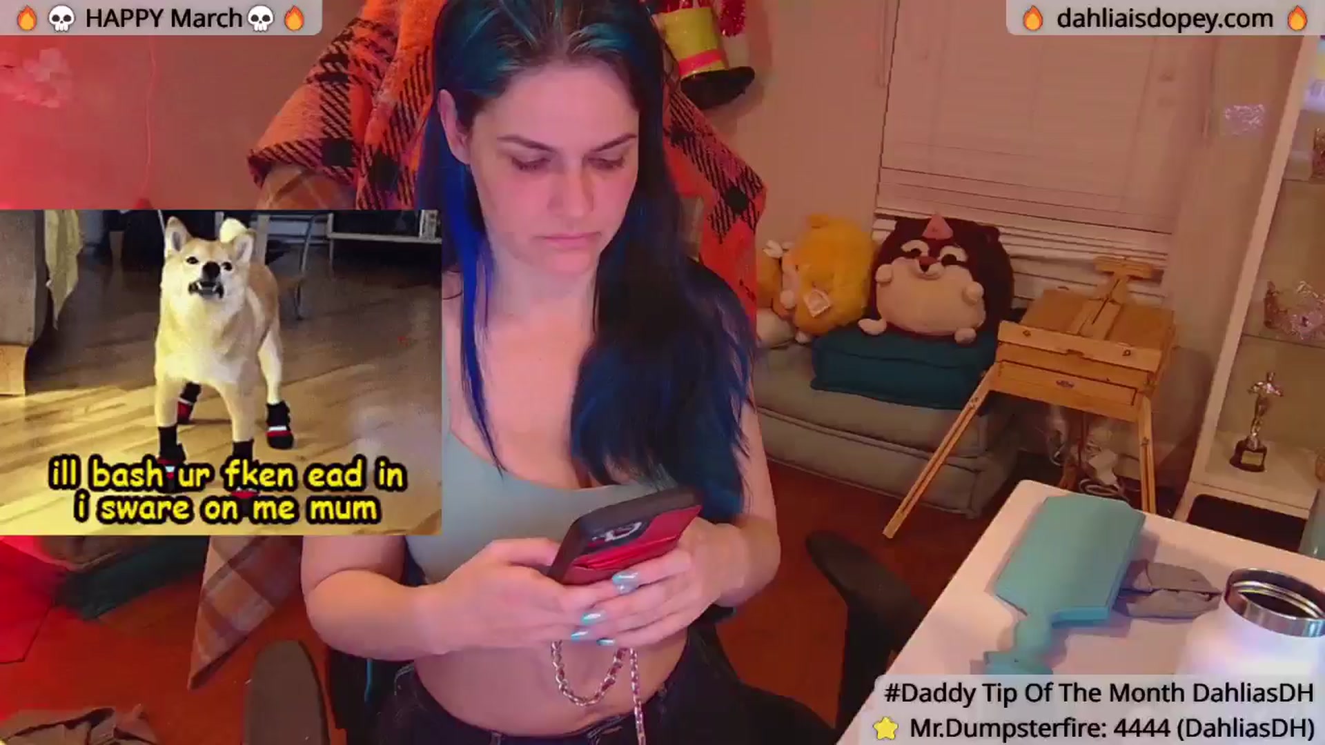 Gallery image thumbnail from DahliaIsDopey's myfreecams stream on, 03/13/2025, 02:09 image 12 of 20