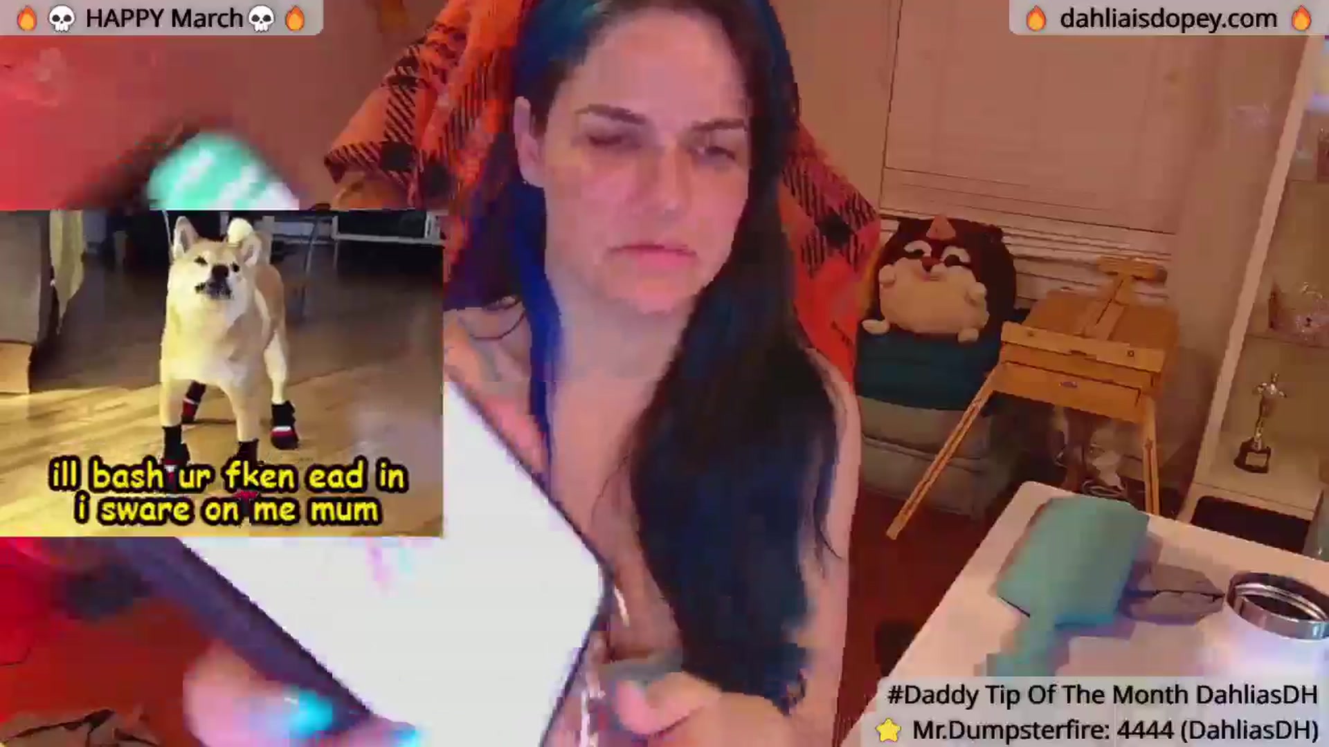 Gallery image thumbnail from DahliaIsDopey's myfreecams stream on, 03/13/2025, 02:09 image 11 of 20