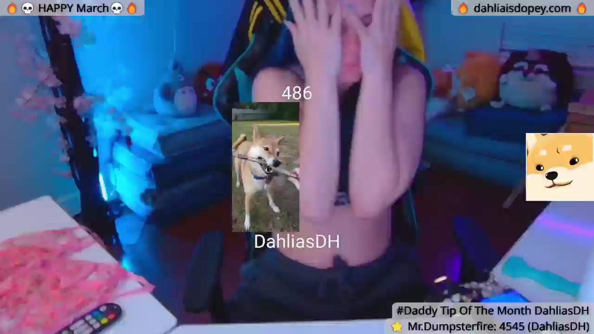 Gallery image thumbnail from DahliaIsDopey's myfreecams stream on, 04/01/2025, 03:09 image 1 of 20