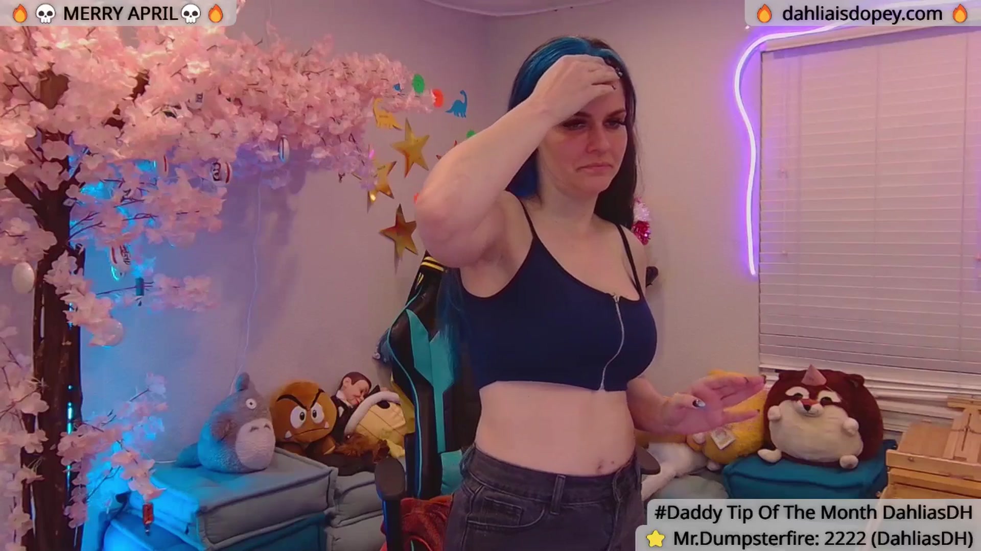 Gallery image thumbnail from DahliaIsDopey's myfreecams stream on, 04/08/2025, 04:01 image 9 of 20
