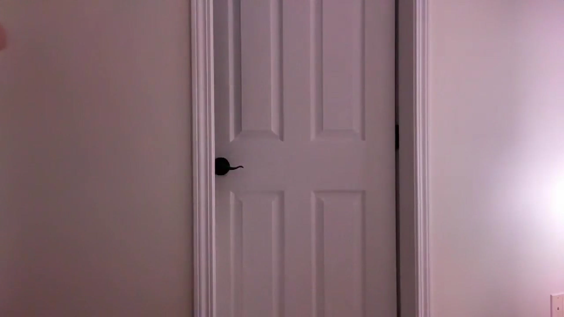 Gallery image thumbnail from DailyTease's myfreecams stream on, 03/13/2024, 03:42 image 16 of 20
