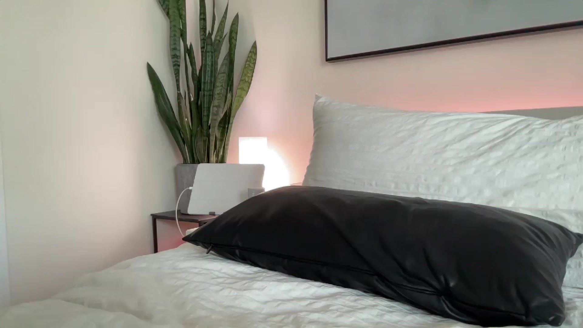 Gallery image thumbnail from DailyTease's myfreecams stream on, 08/09/2024, 02:13 image 15 of 20