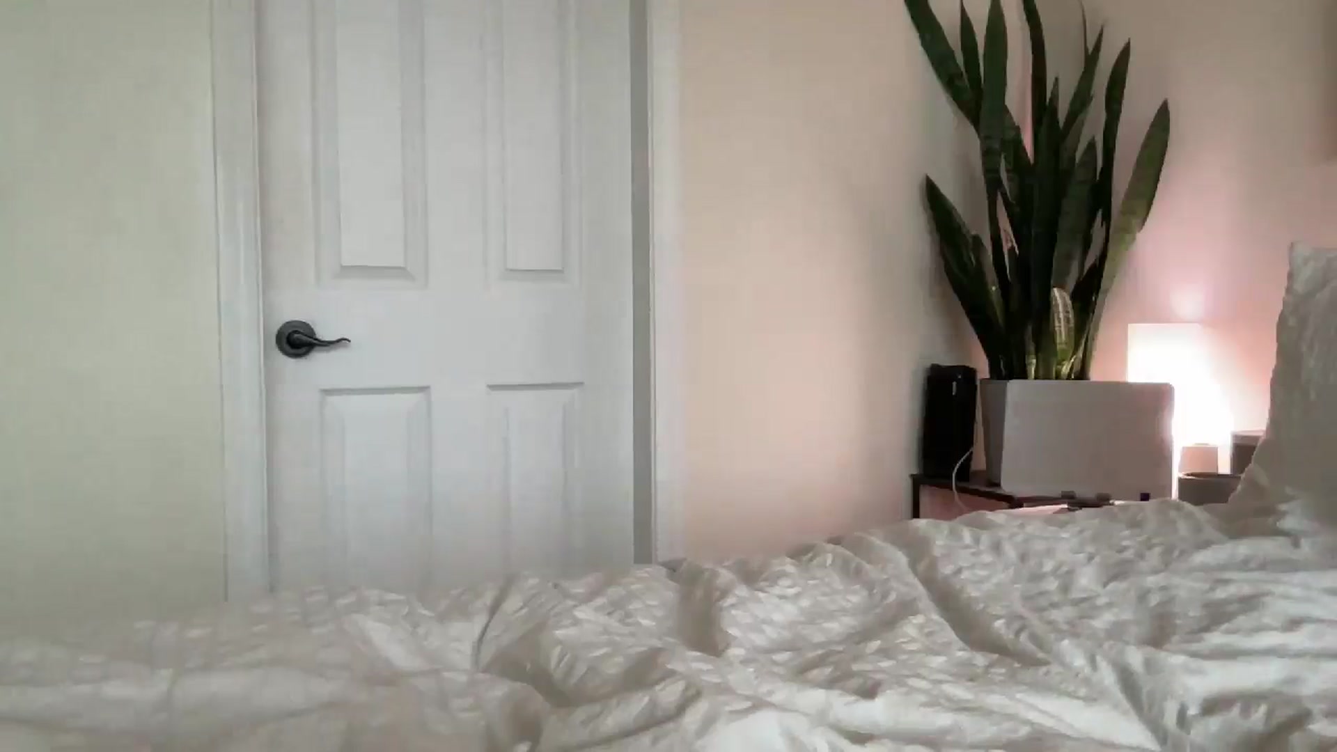 Gallery image thumbnail from DailyTease's myfreecams stream on, 12/12/2024, 22:17 image 2 of 20