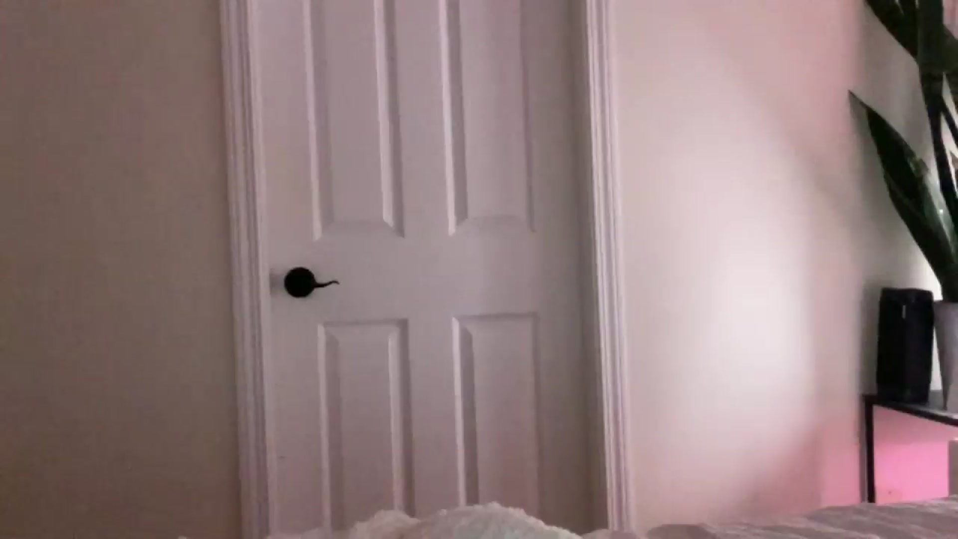 Gallery image thumbnail from DailyTease's myfreecams stream on, 12/22/2024, 06:05 image 12 of 20