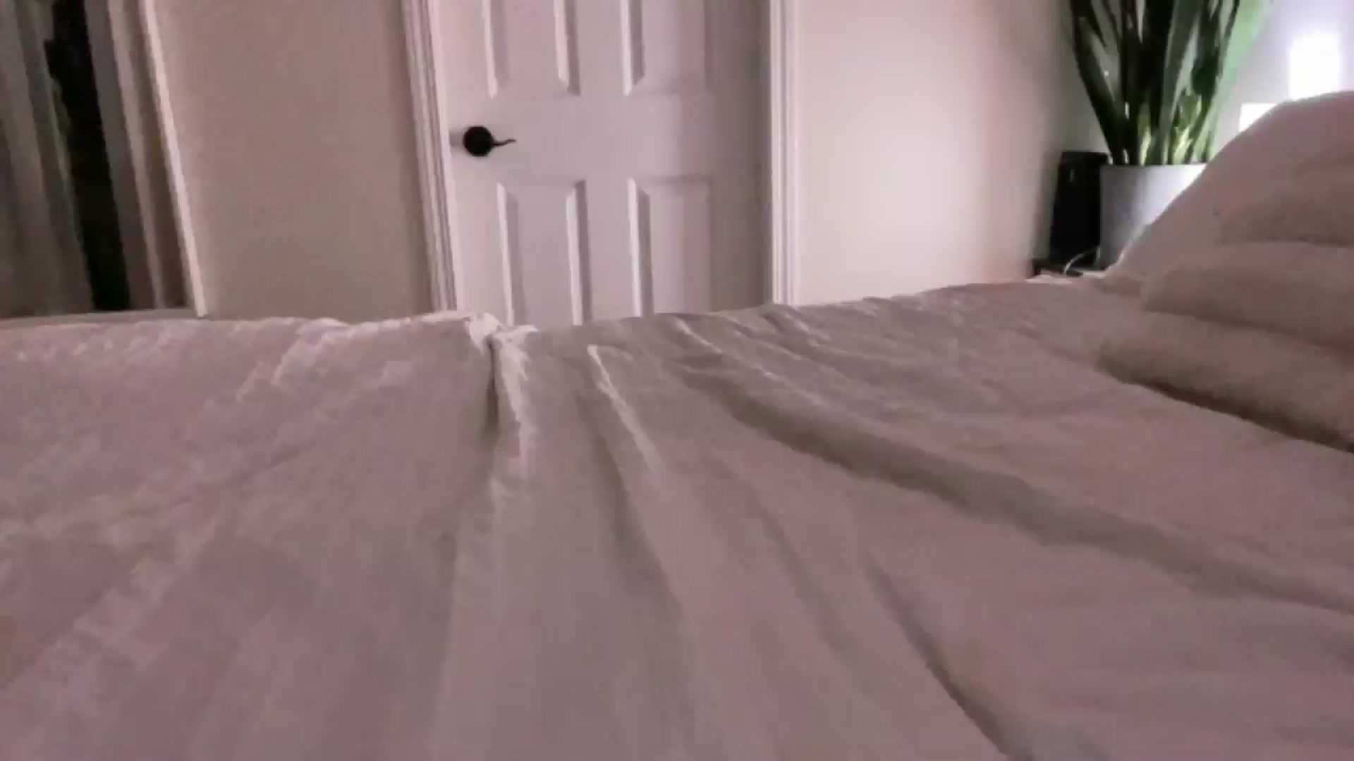 Gallery image thumbnail from DailyTease's myfreecams stream on, 12/28/2024, 04:39 image 13 of 20