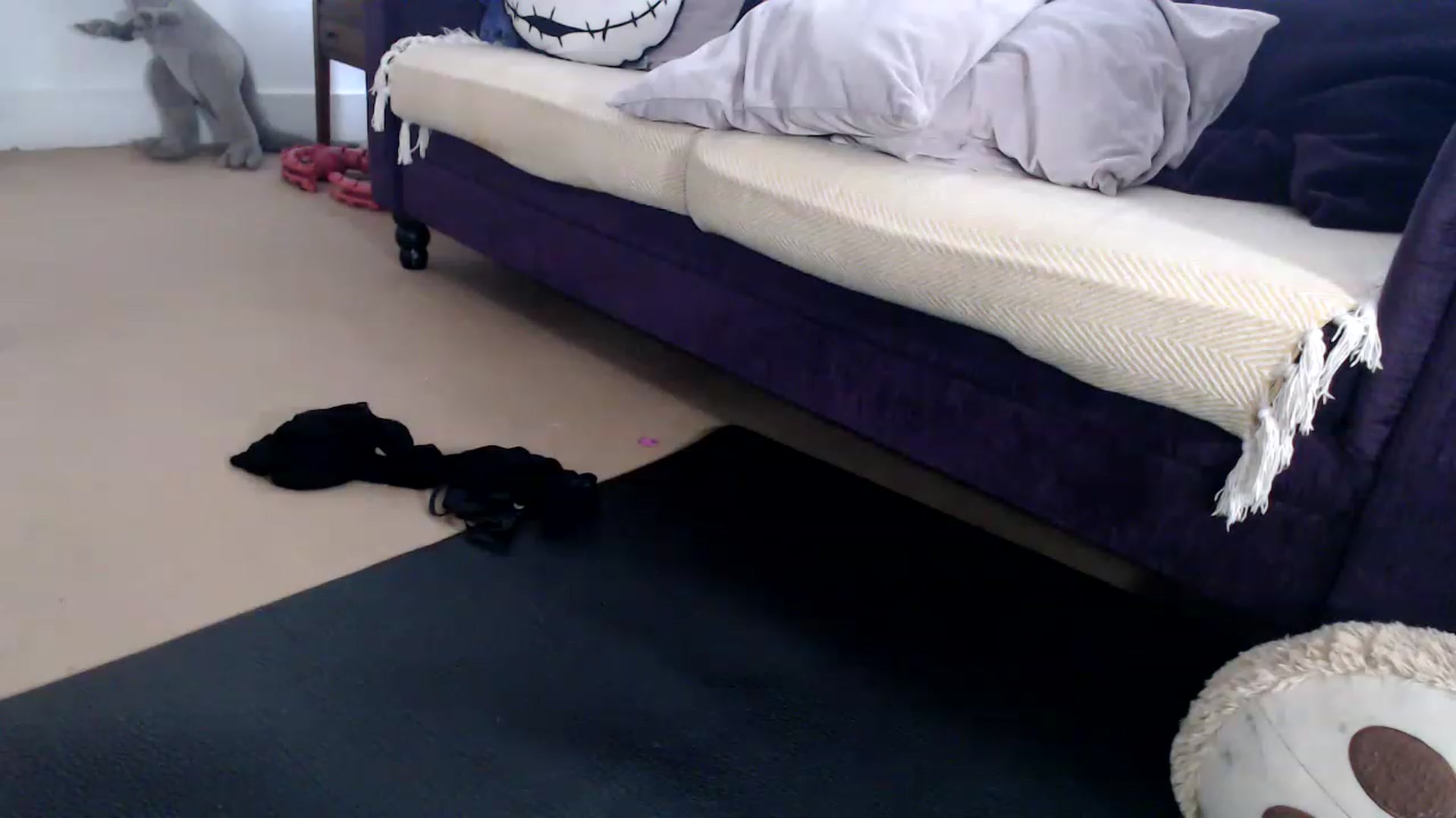 Gallery image thumbnail from DaisyChainedX's myfreecams stream on, 01/18/2023, 14:28 image 12 of 20